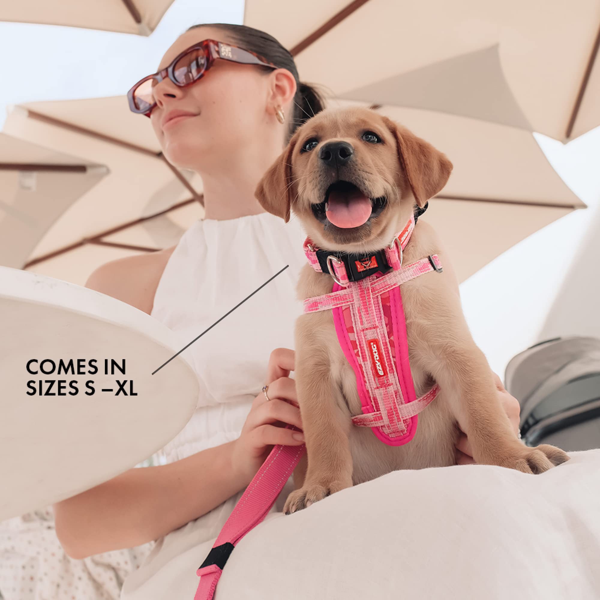 EZYDOG Double Up Hundehalsband – Reflektierend, Aus Weichem Neopren & Starkem Nylon, Mit 2 D-Ringen (versch. Größen)