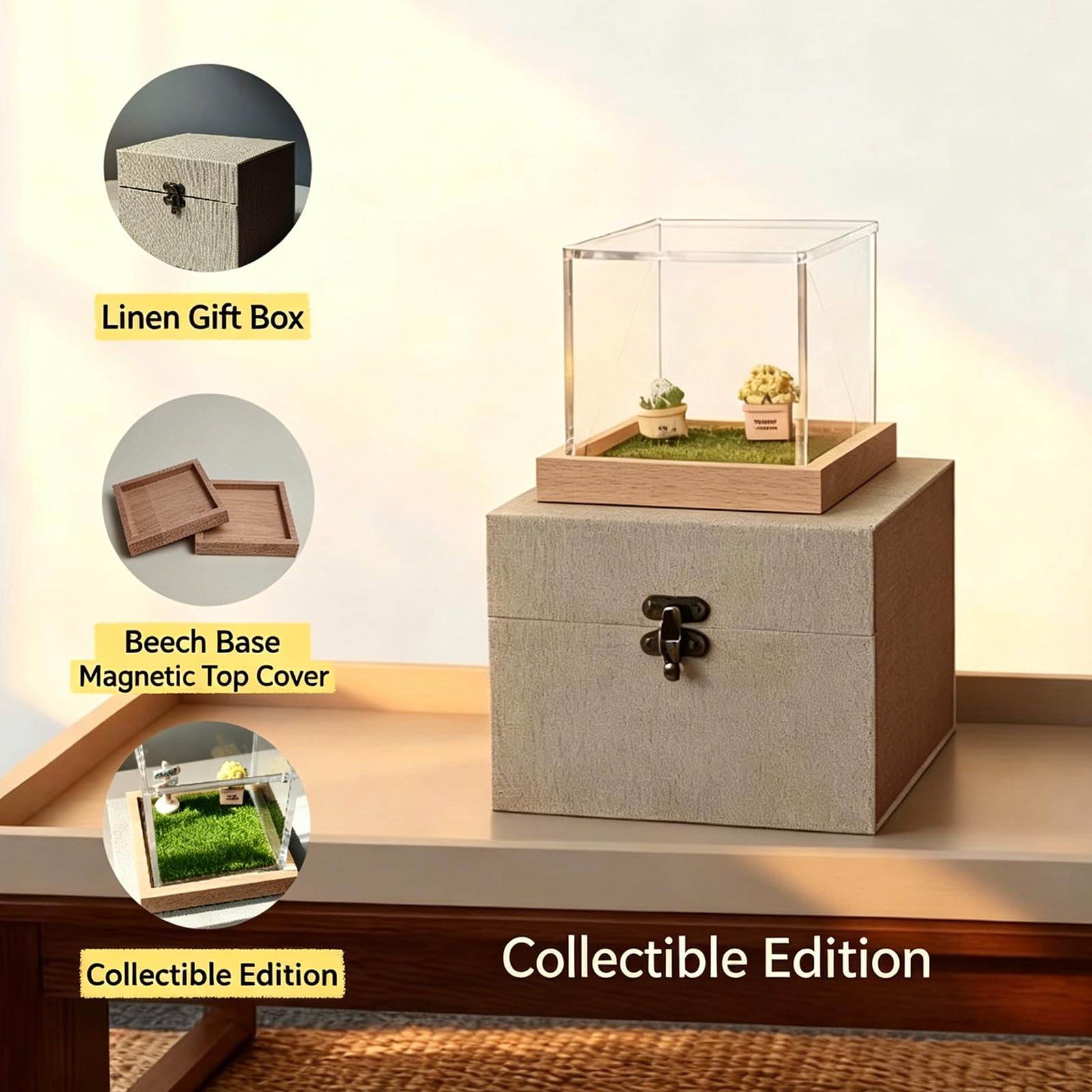 Proiezione ologrammi Scatola commemorativa per Animali Domestici con Immagini 3D Casa Digitale per Amanti Cani e Gatti Ricordi simpatia Regalo Proiezione da Smartphone Ricordi Animali