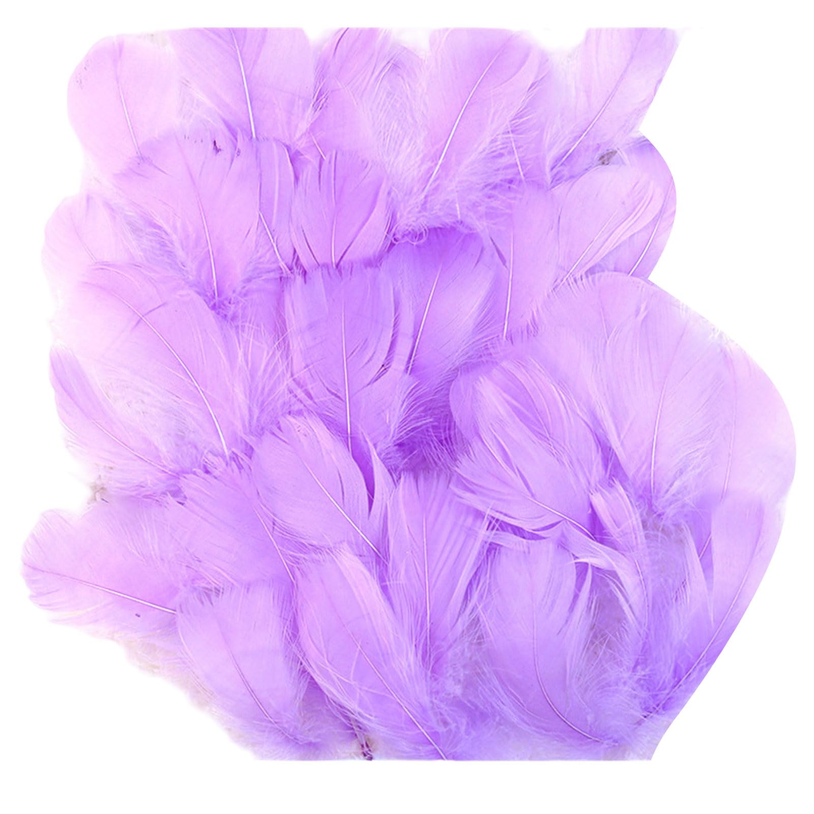 Tsophreniq Light Purple 100Pieces Assorted Size Craft Feathered Accessories Ideal For Creative Crafting Art Projects And Party Decorations Feathered Art Supplies