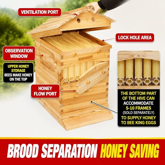 Flow Beehive Kit, Double Layer Hive with Automatic Honey Flow Frames