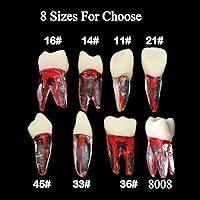 Vista 2 de 8pcs dientes modelo endodoncia endodoncia archivo RCT práctica pulpa para enseñanza estudio