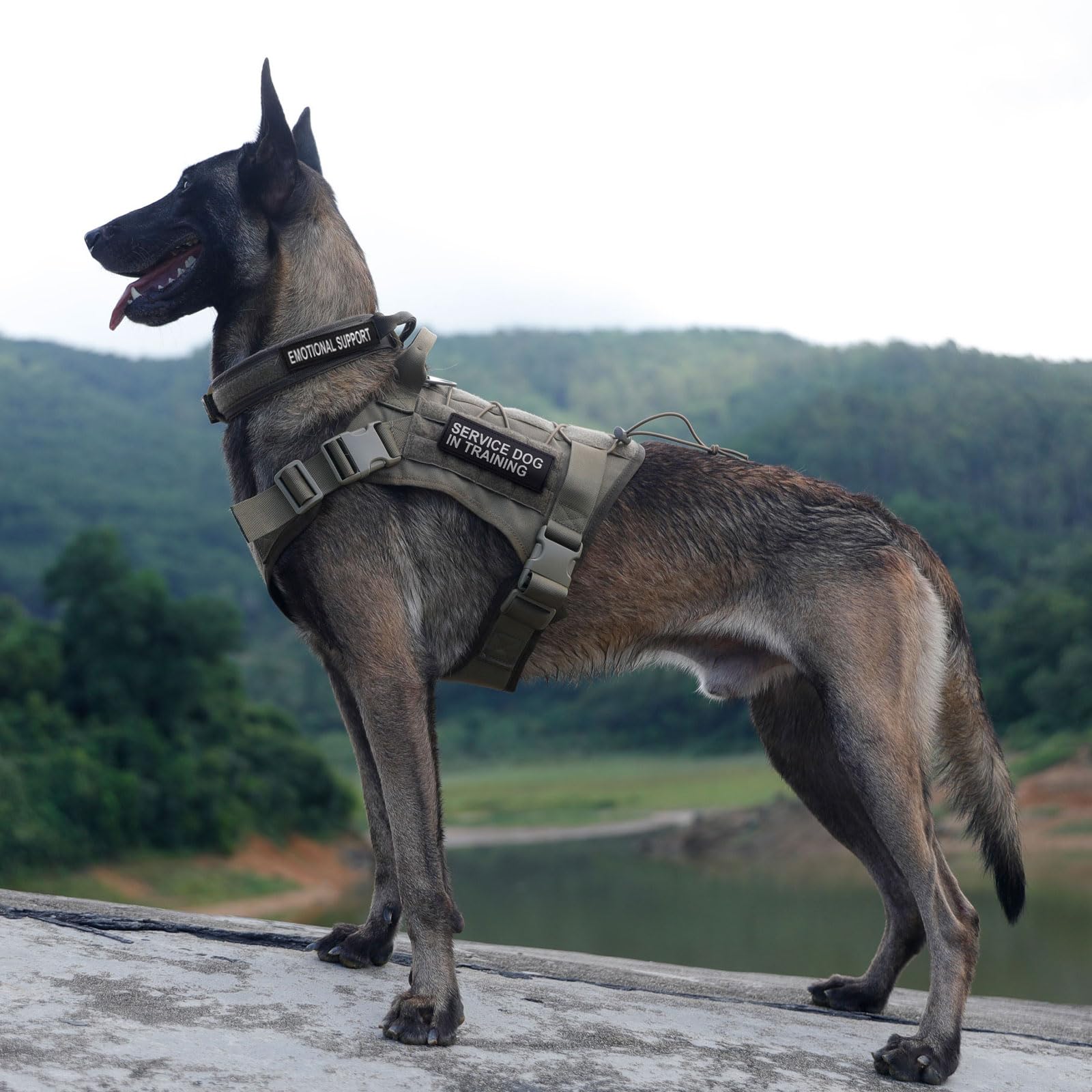 Arnés táctico para Perro de Elite Spanker, de Gran tamaño, con asa