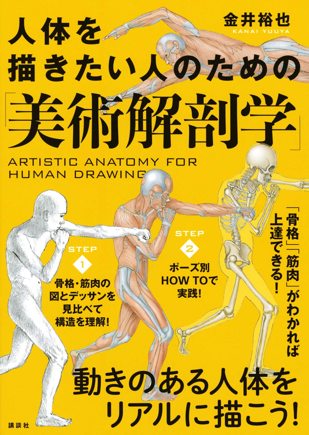 人体を描きたい人のための「美術解剖学」 | 金井 裕也 |本 | 通販 | Amazon