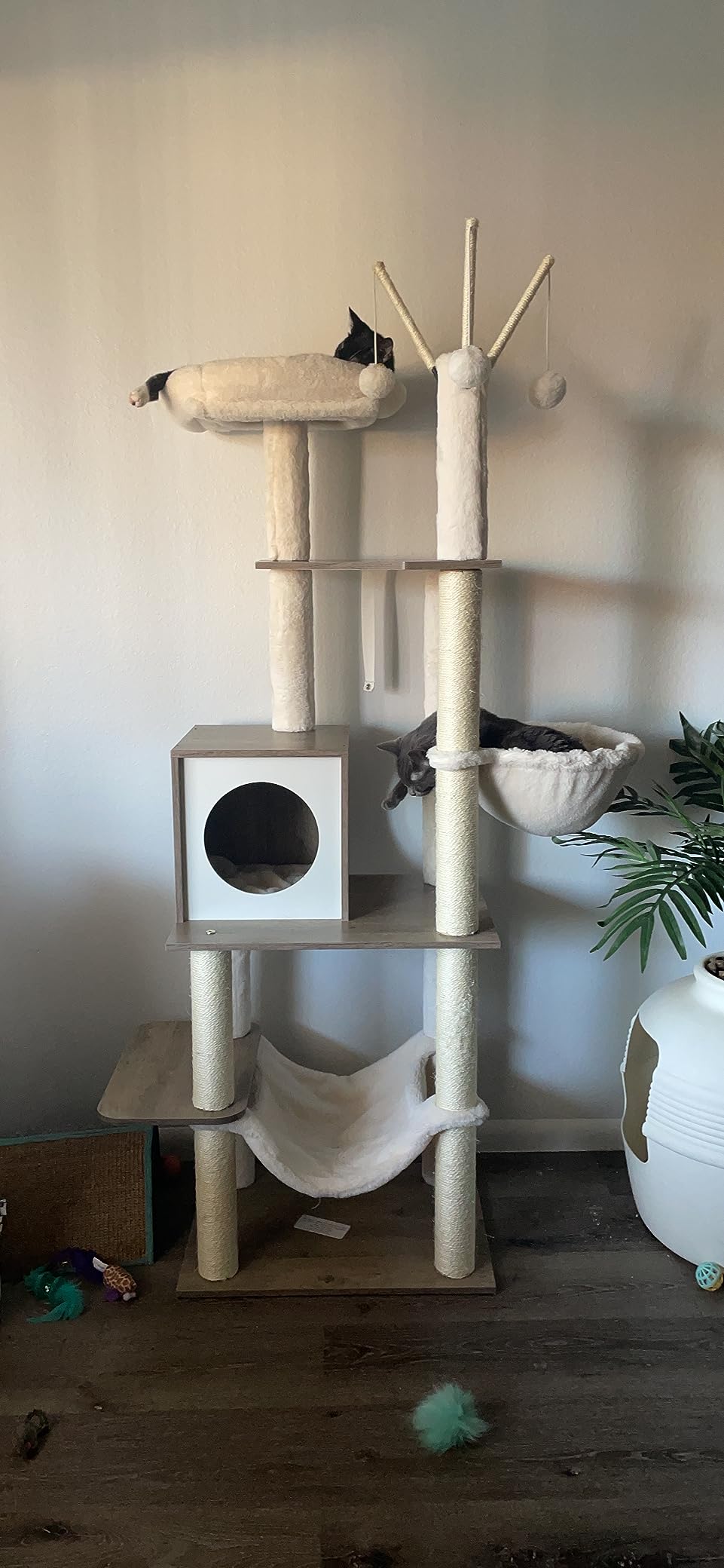 17/mo Finance Heybrother Cat Tree for Indoor Cats, 55.5" Wooden Cat