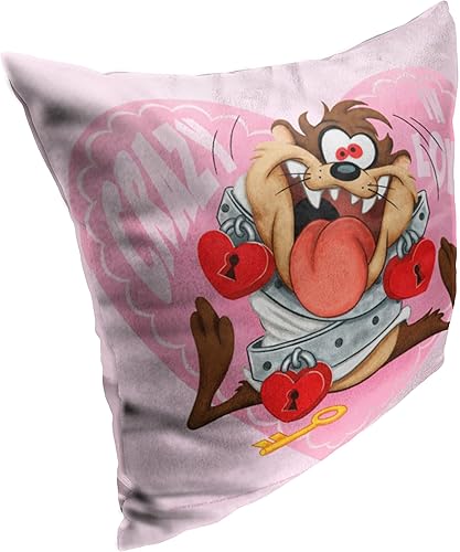 Miniatura 6 de Northwest Warner Bros. Looney Tunes almohada, 18 x 18 pulgadas, idea brillante
