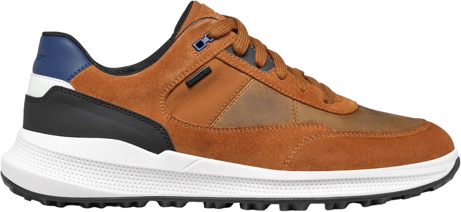Geox Men's Sneaker