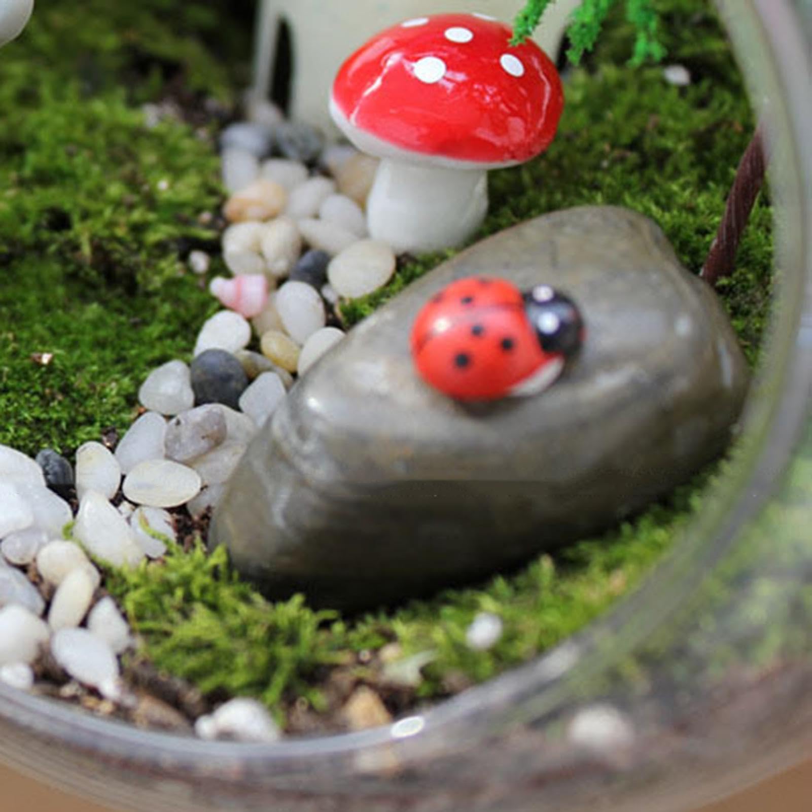 Vase rond en verre pour terrarium - vase en verre - Bouche inclinée - Décoration d'intérieur - Centre de table pour grasses et plus encore