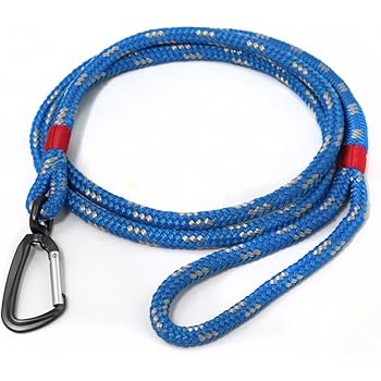 can puppies have grapes