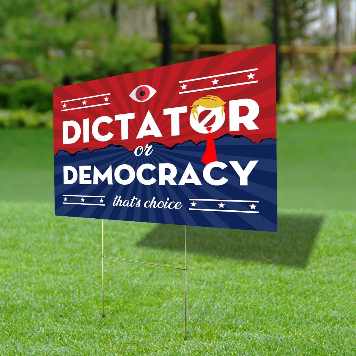 Generic YF1005 Dictator Or Democracy That's The Choice USA President Election Democracy Vote Yard Sign & FLAg (Multicolor)