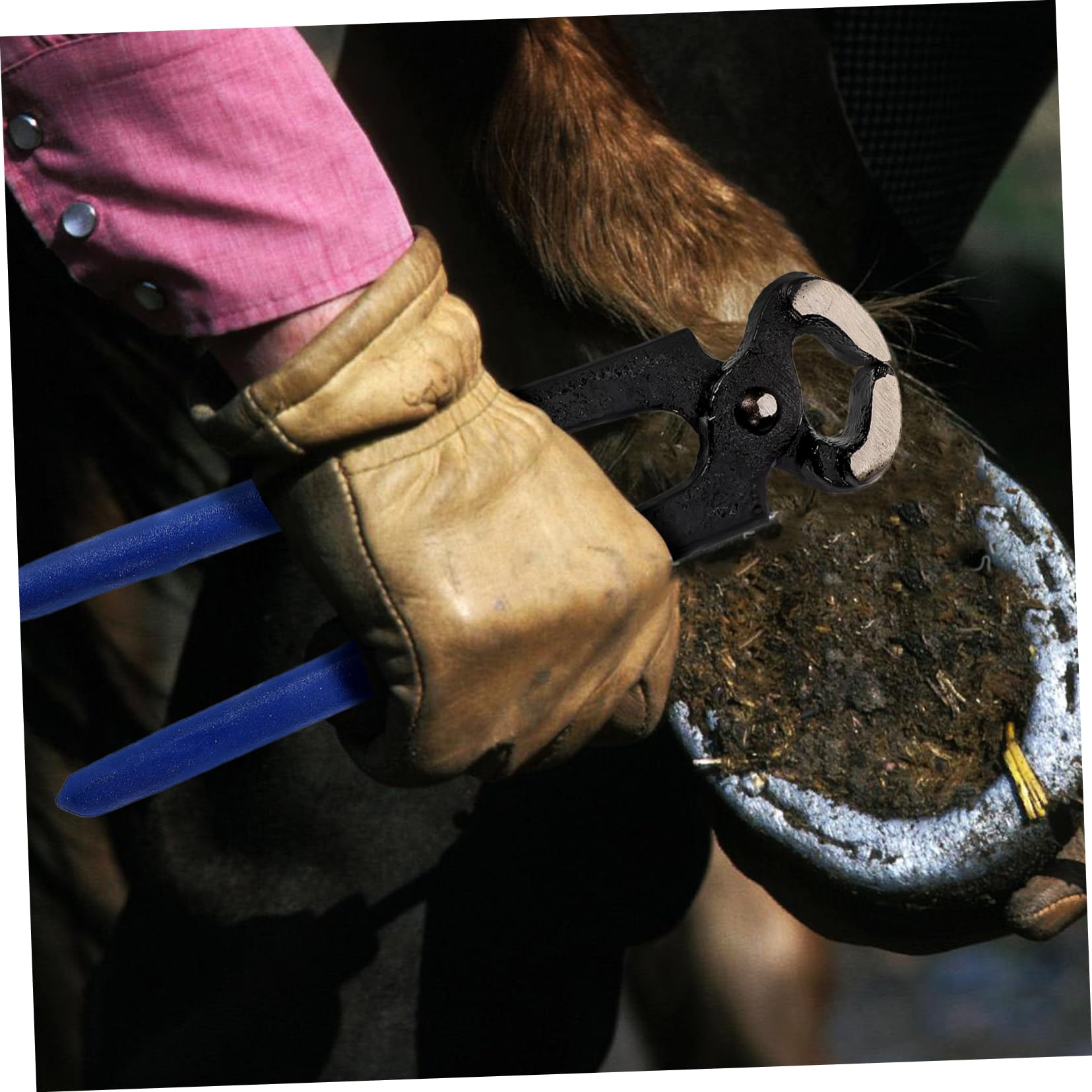 Yardwe 5 Piezas alicates para recortar pezuñas pinzas de herrador cortauñas de caballo Tijeras de reparación de herraduras Herramienta de reparación de herraduras herramienta para herrar