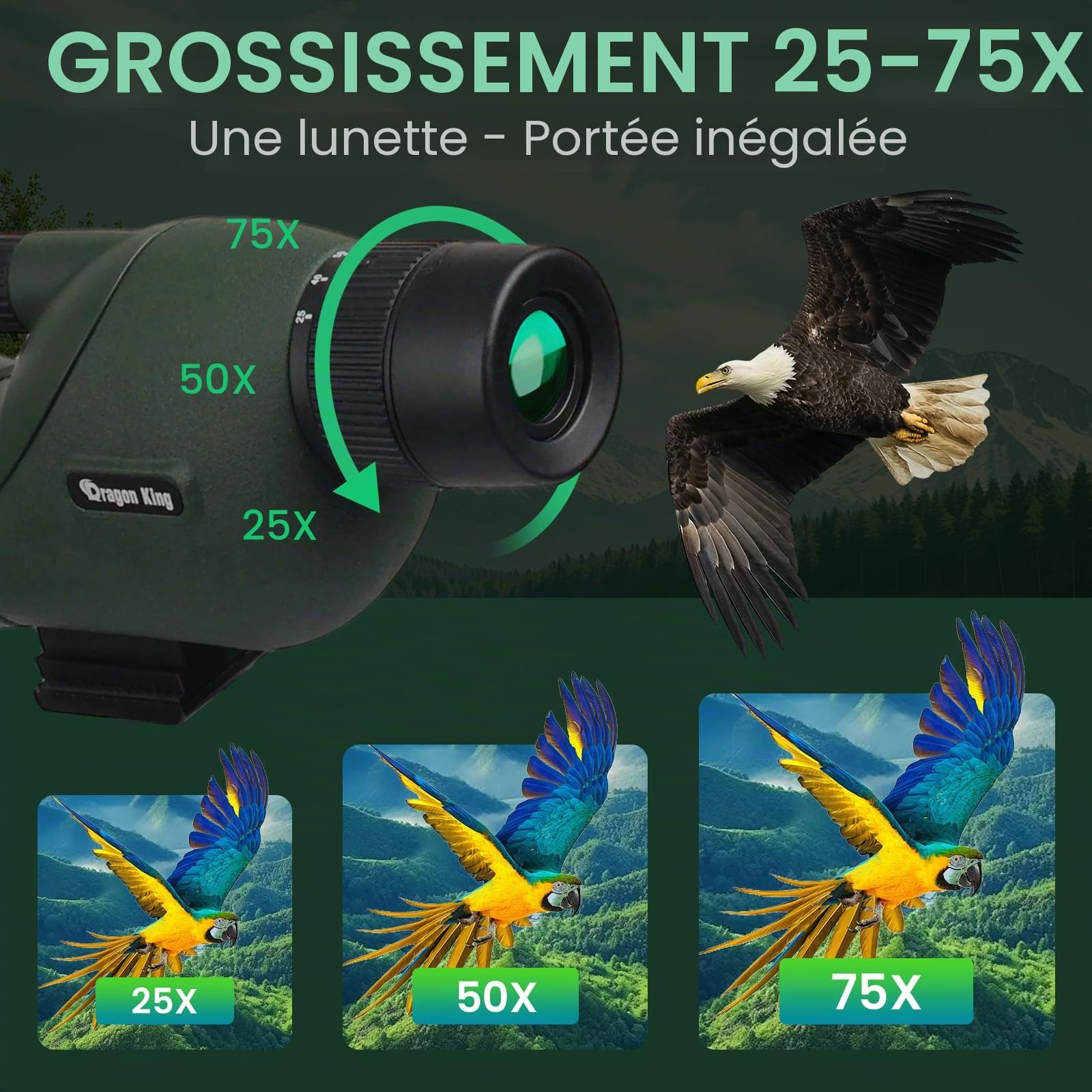 BIBIRE Longue Vues 25-75x60 avec trépied et Adaptateur pour téléphone, Longue-Vue Droite avec Sac de Transport, Longue-Vue HD pour l'observation des Oiseaux, la Faune Sauvage et Les cibles