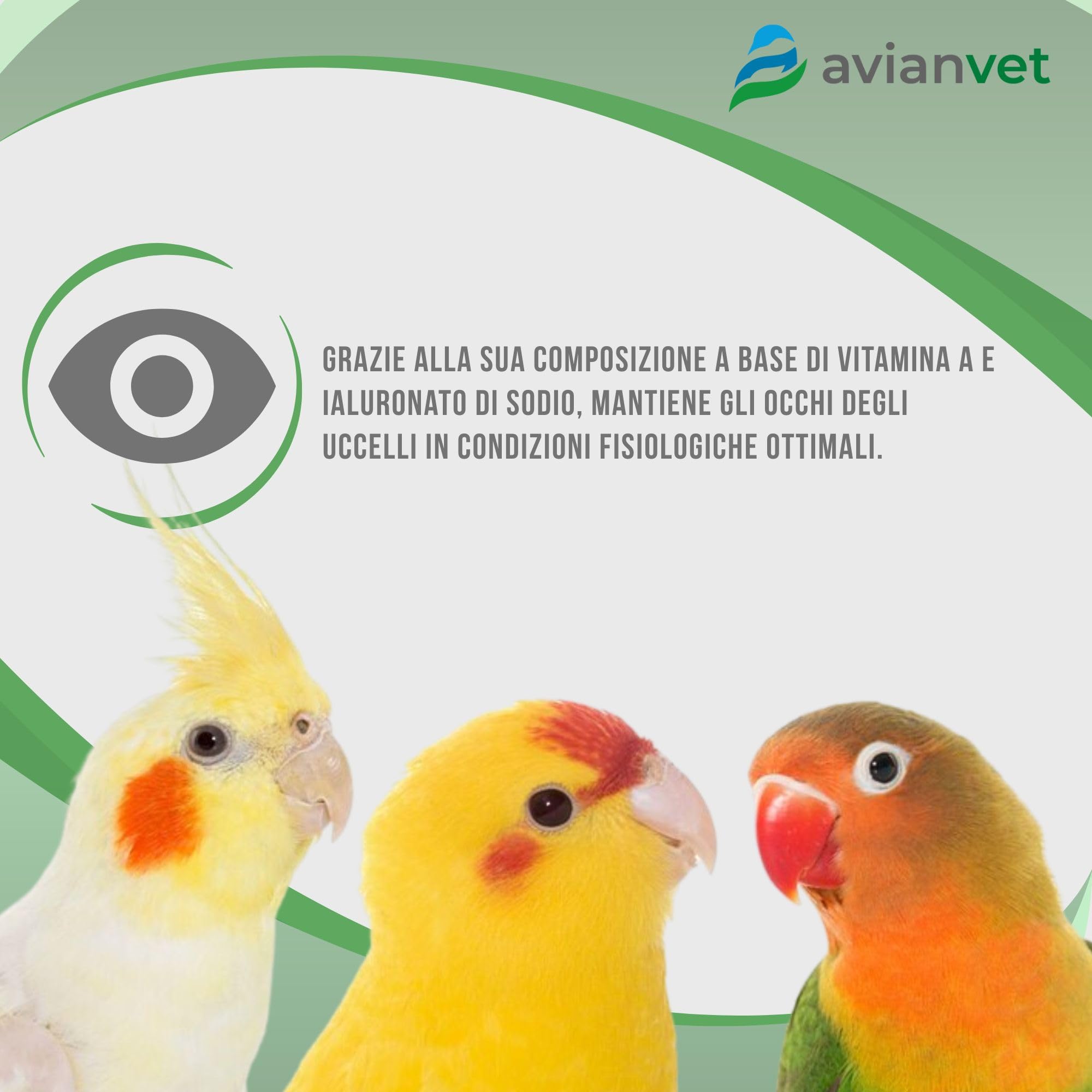 Visvitae | Collirio per lesioni agli occhi degli uccelli | Mantiene gli occhi idratati, inumidisce e protegge la cornea 15g