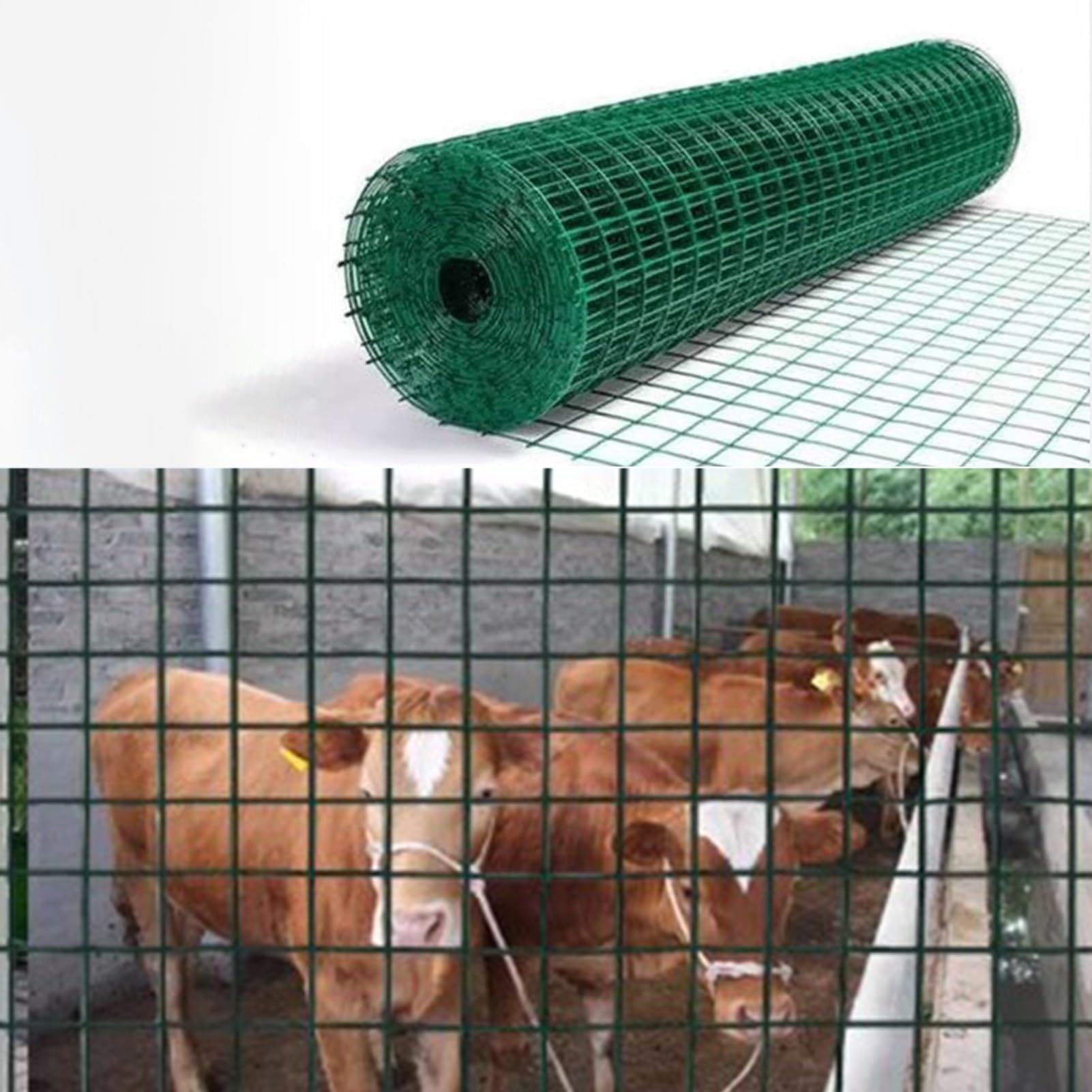 Ogrodzenie z Drutu Siatka Ogrodzeniowa z Drutu Spawanego Powlekanego PVC, Rolka 11,5GA, Ogrodzenie Dla Bydła, Ogrodzenie Dla Zwierząt, Do Ochrony Granic Dla Psów, Podwórka, Warzyw, Roślin, Drobiu(H-2m