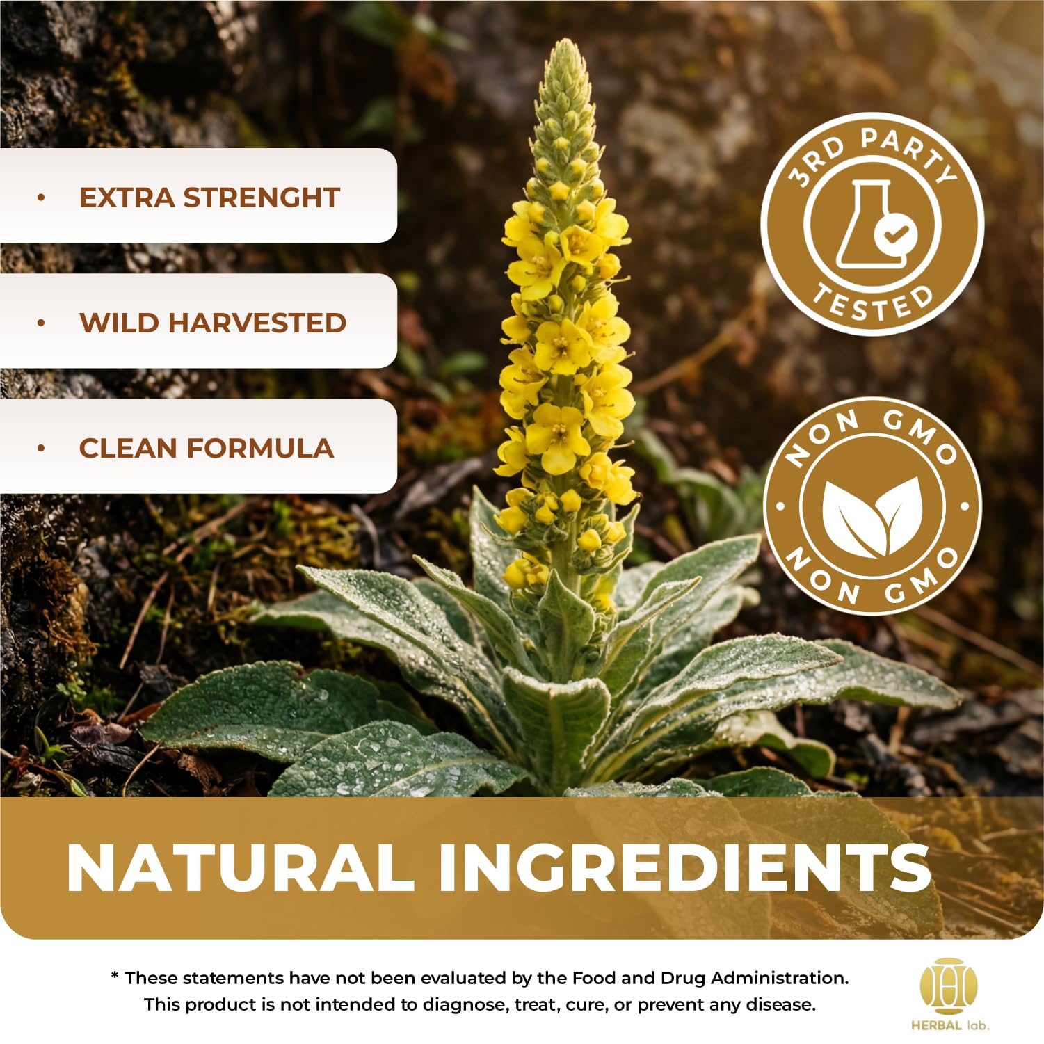 Mullein Drops for Lungs – Mullein Leaf Extract - Lung Cleanse & Respiratory Support – Lung Detox for Smokers - Made in USA — Amazon image 4