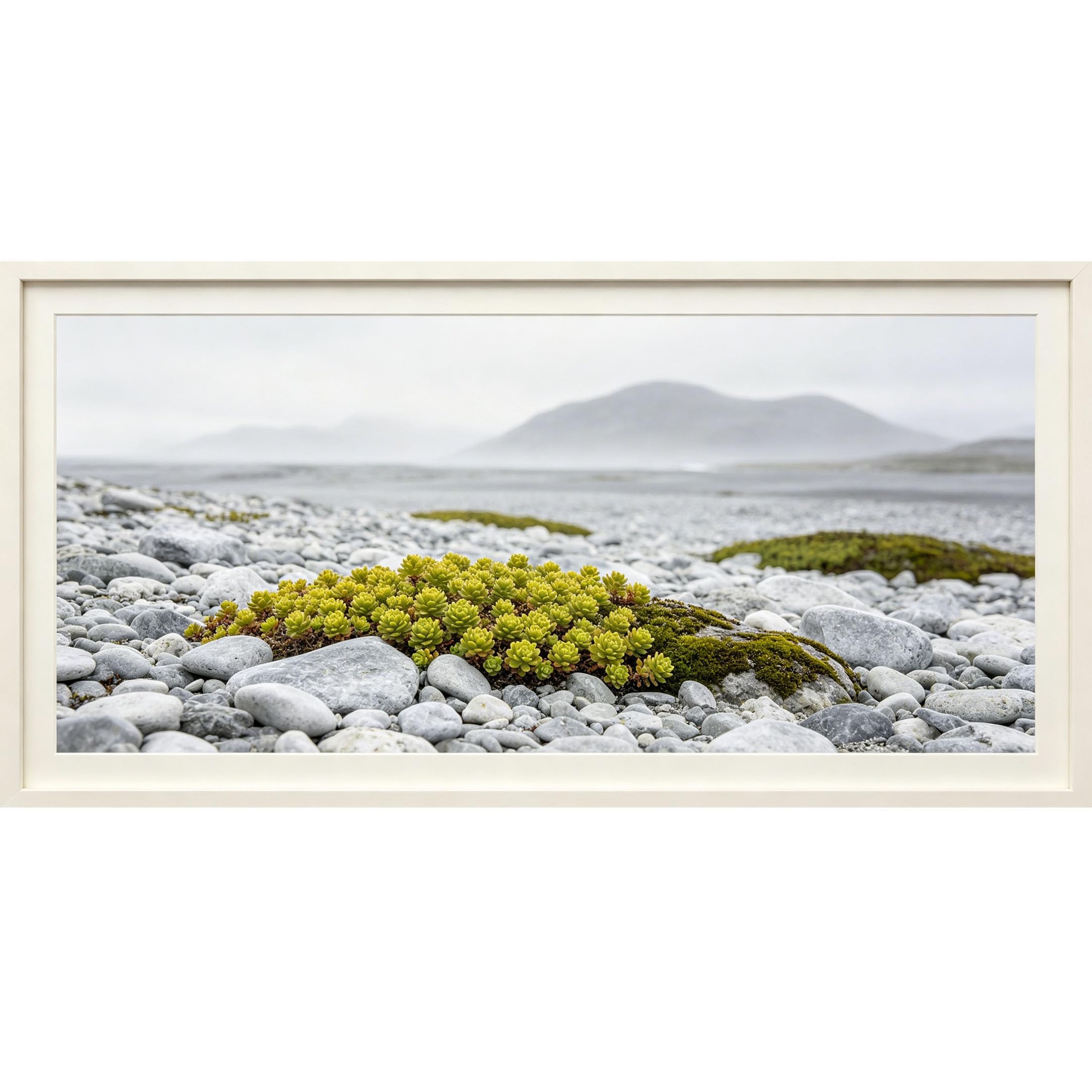 Agglomerix 3D Framed Wall Art Coastal Rocky Shore Succulent Moss Minimalist Landscape Large Size Self-Adhesive Removable Wall Decor Prints Artwork for Living Room Bedroom Office