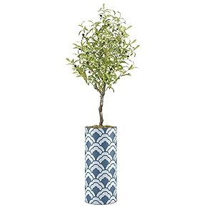 SIGNWIN Olive Tree with Geometric White & Blue...