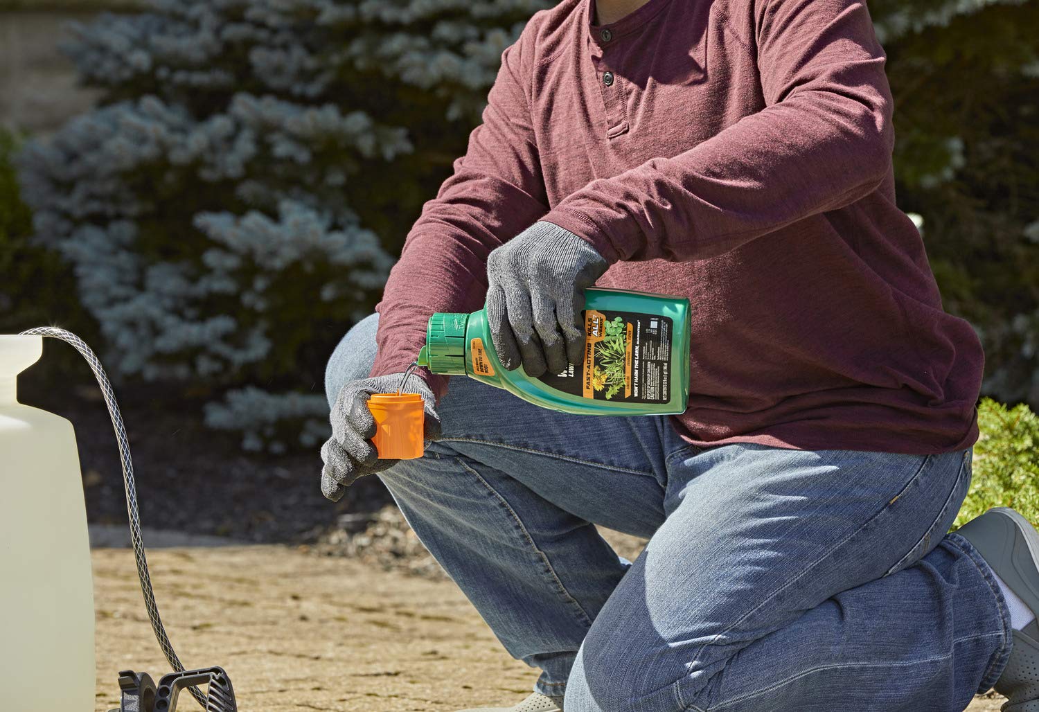 Ortho WeedClearLawn Weed Killer Concentrate - Fast-Acting, Kills Dandelion, Crabgrass and Clover to the Root, Won't Harm Lawns When Used as Directed, ...