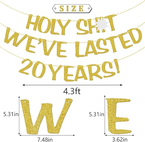 Miniatura 2 de Cartel de Holy Shit We Lasted 20 Years - Decoración divertida para él, su marido, esposa, padres, pre-encordado, purpurina dorada