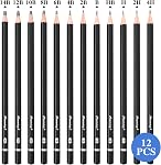 Lemical Professional Sketch pencils 12pcs/set (14B - 4H) Graphite Sketching Pencils Sketch Drawing Pencils Set for Art Drawing Shading Art Supplies