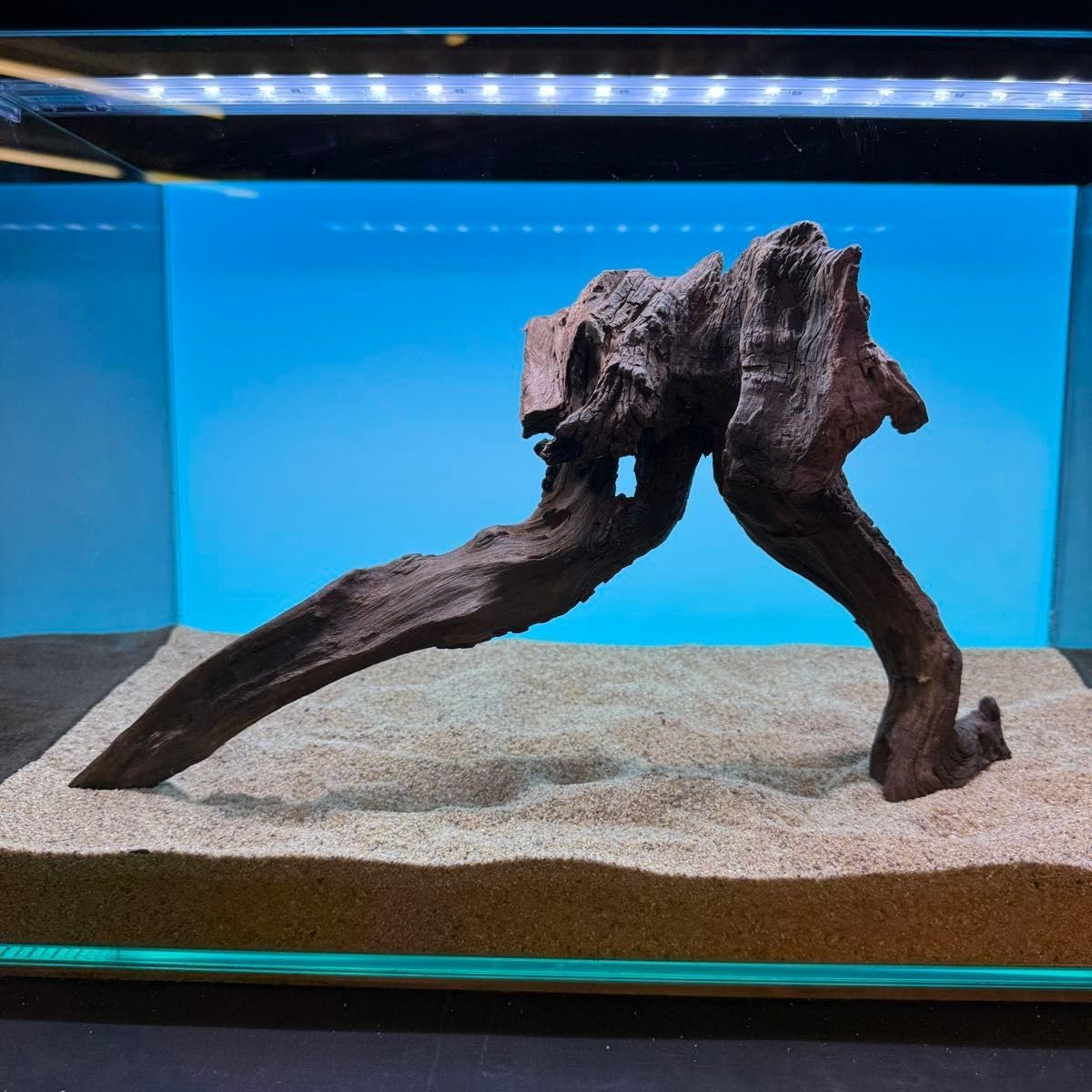 MRW-6776自立赤系天然流木 1点物 45cm水槽用流木 アクアリウム