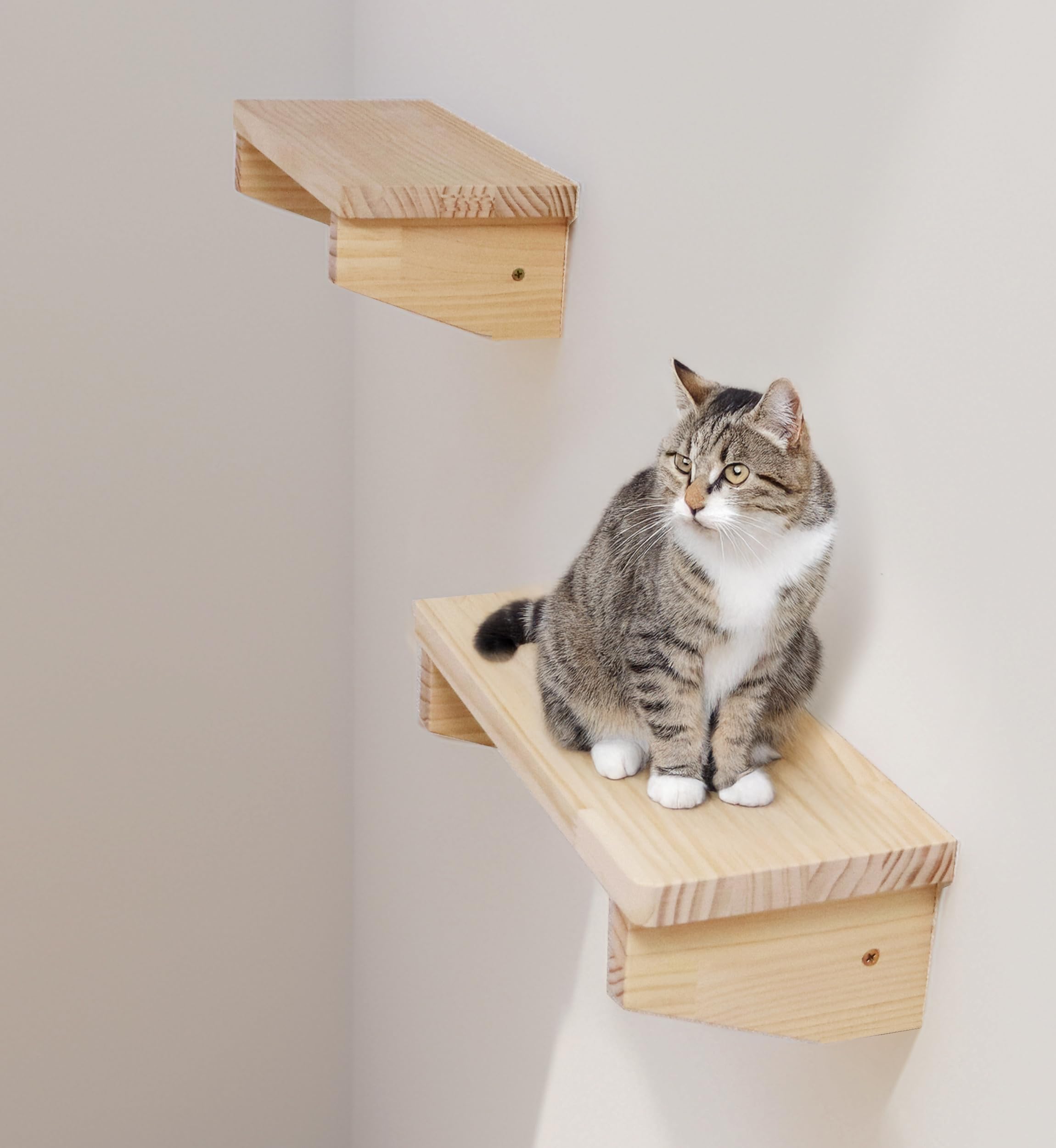 キャットステップ壁に取り付け用 Amazon.co.jp: キャットステップ キャットウォーク 1台 日本製 猫 壁
