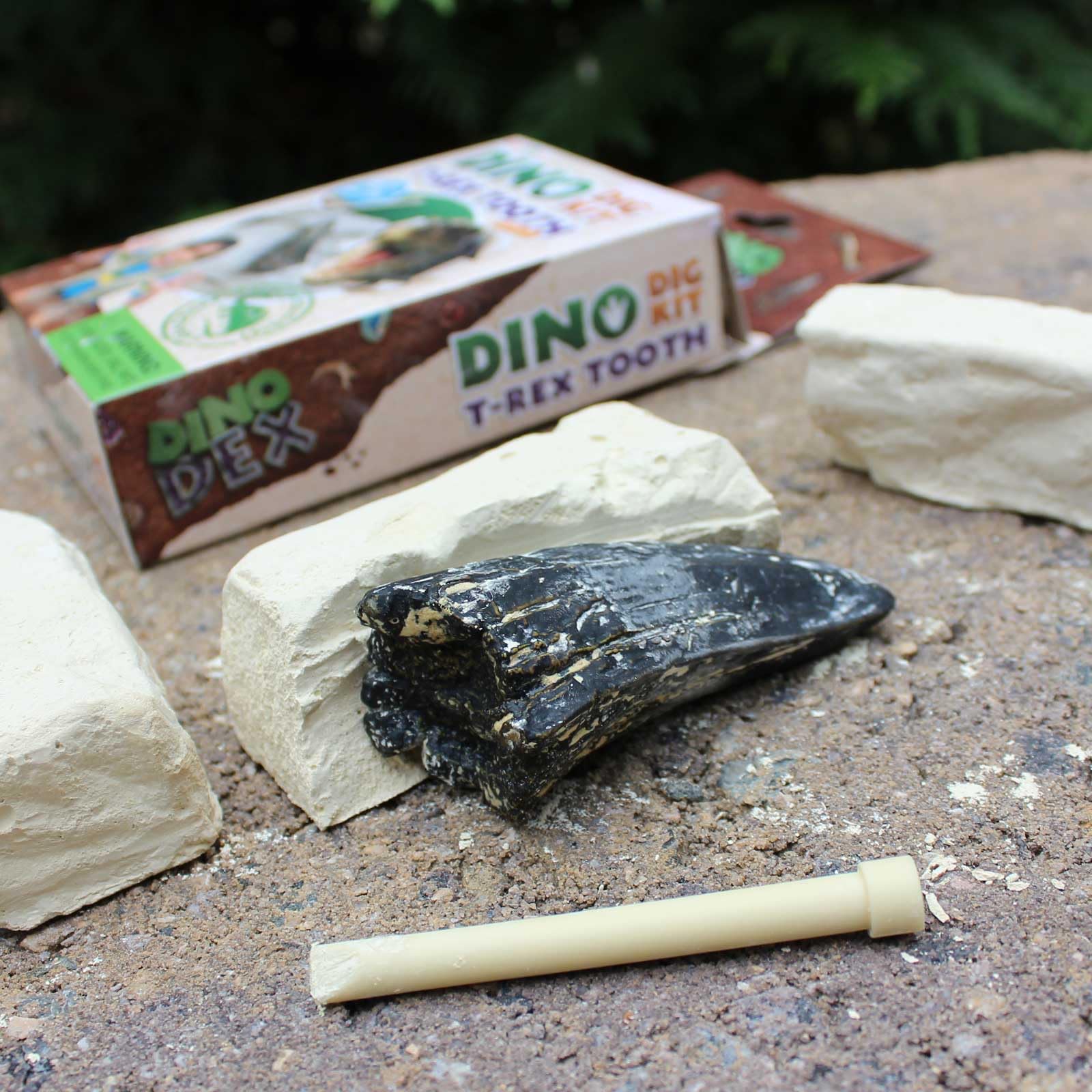 Amazon.com: Safari Ltd. Dino Dexter T-Rex Tooth Excavation Kit