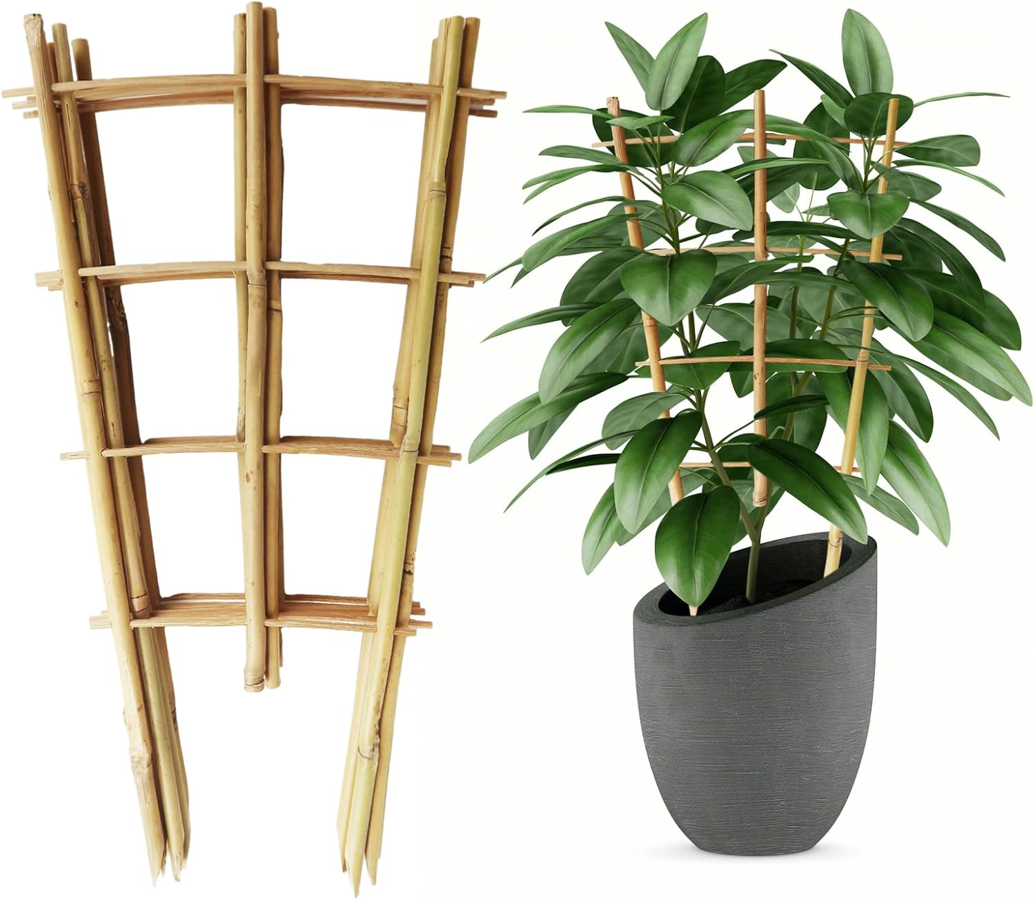 6 Pack Bamboo Trellis, 16 Inch Fan-Shaped Plant Support Trellis, Garden Ladder Trellis with Twist Ties for Indoor, Mini Climbing Plants Hoya Potted Plants House Plants Monstera Vine Ivy