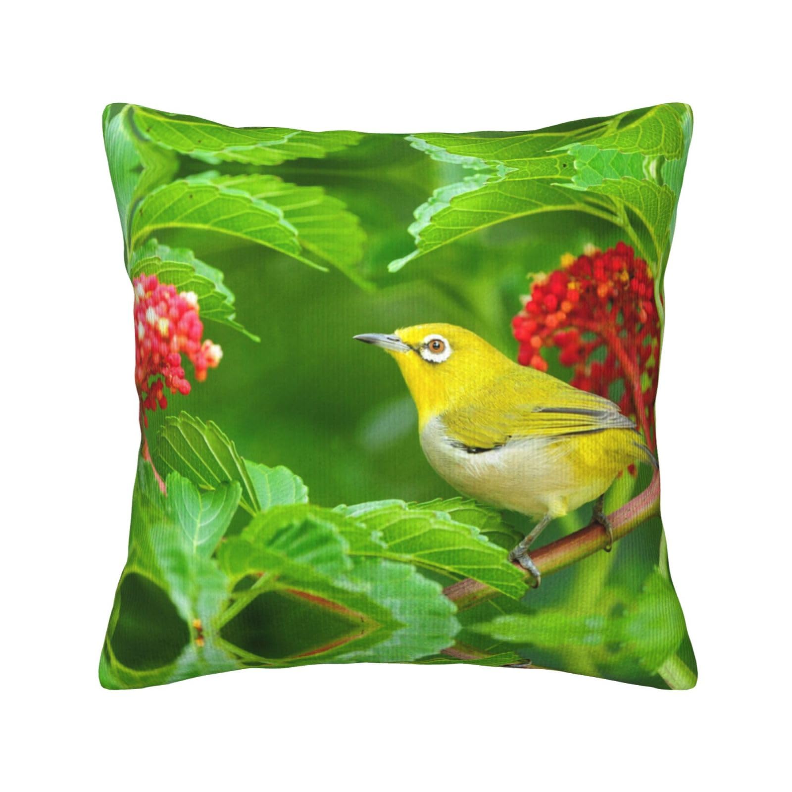 Housses de coussin velours côtelé 50,8 x 50,8 cm motif oiseaux déco maison moderne
