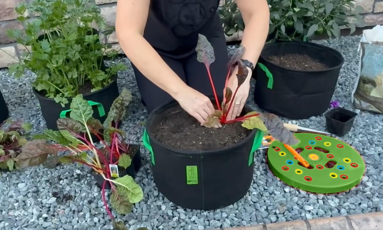 Seeding Circle – Seed Spacing Tool for Container & Bucket Gardening | Planting Template for Pots, Raised Beds & Small Garden Spaces | Evenly Space Vegetable Seeds