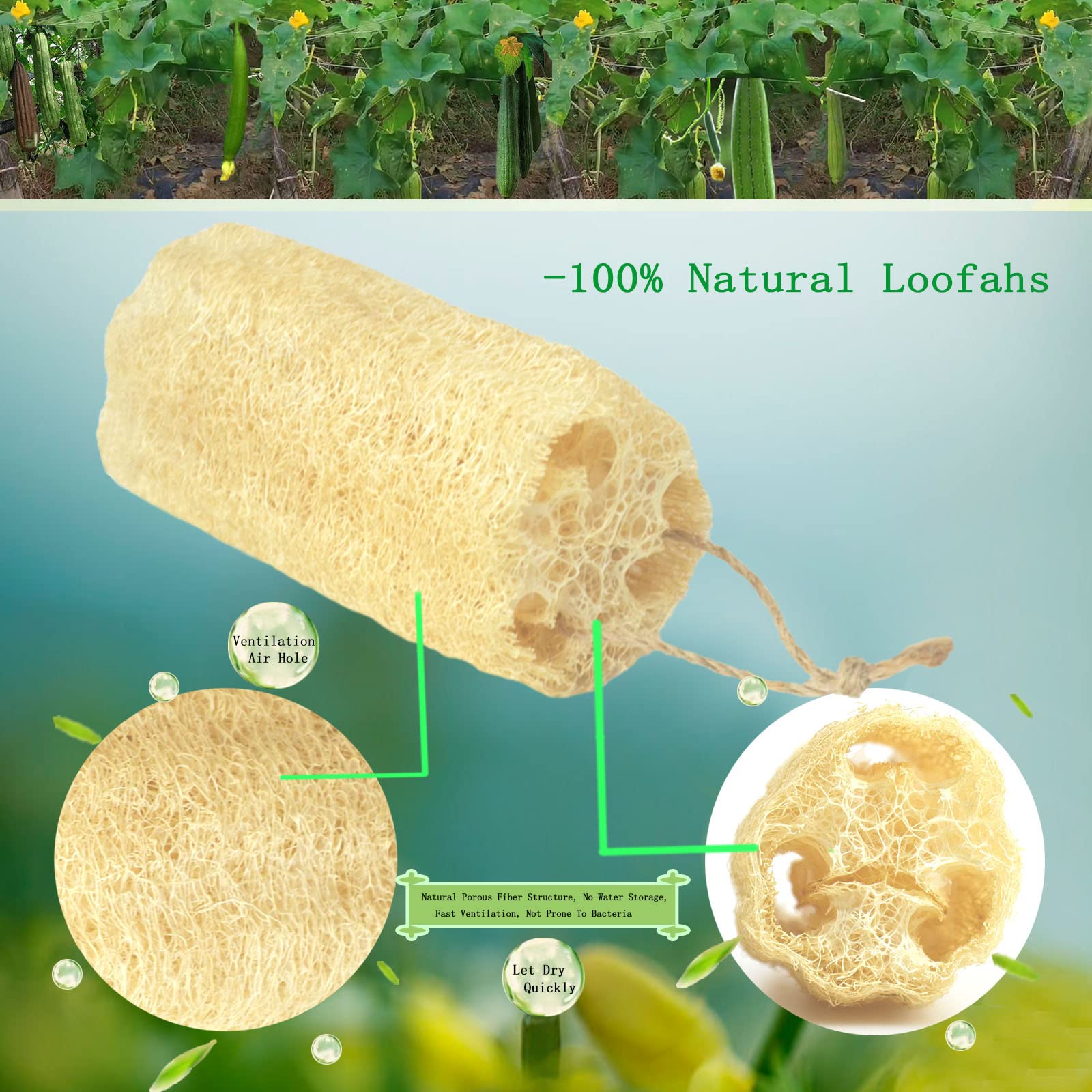 Lot of 5 Natural 5 Loofah Luffa Loofa Premium Bath Sponge Body Spa  Scrubber