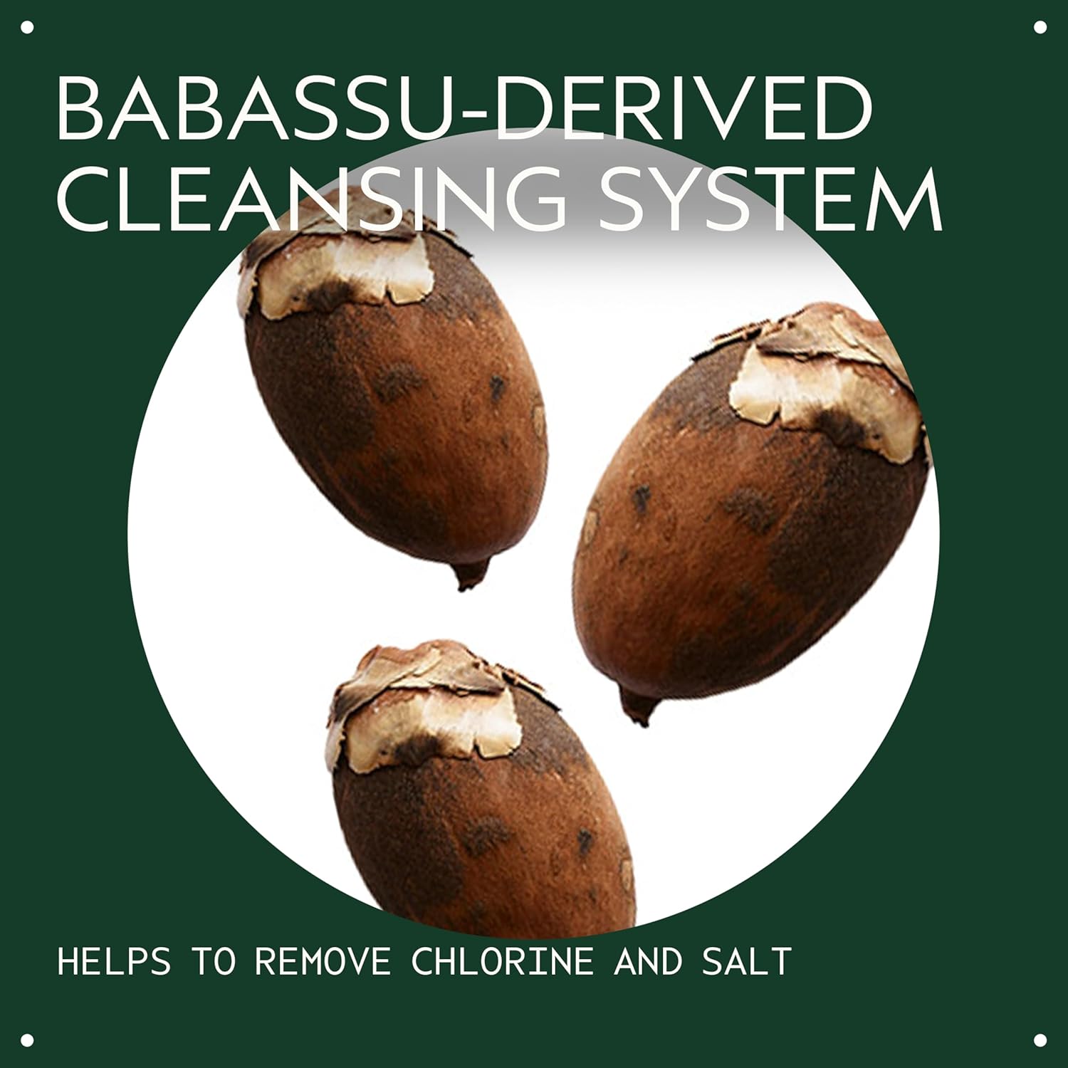 Aveda Sun Care Hair & Body Cleanser | Removes Chlorine and Salt | with Coconut Oil | for All Hair Types, 8.5 Fl Oz - Image 3