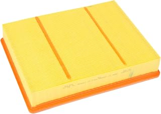 ACDelco GM Original Equipment A3218C (23349854) Air Filter