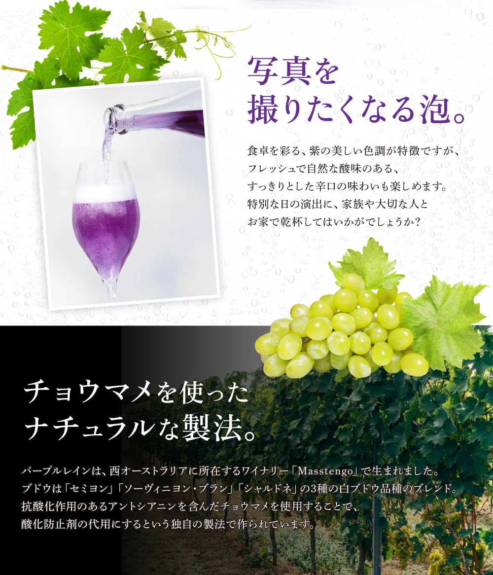 紫色スパークリング鍋セット パープルレインSparkling 2024 | Shizuku Shop