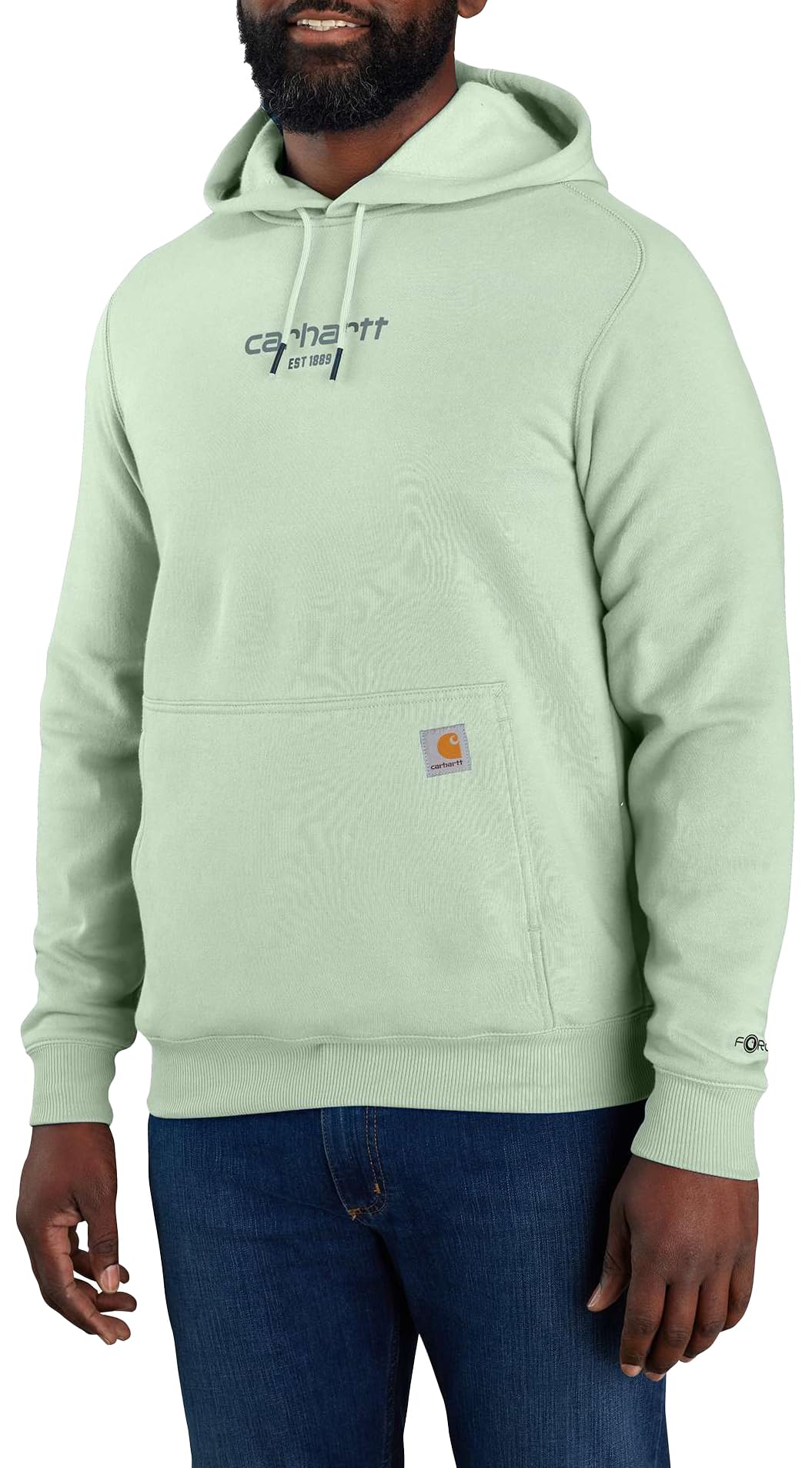Carhartt Men's Force Relaxed Fit Lightweight Logo Graphic Sweatshirt, Big Sky, 3XL