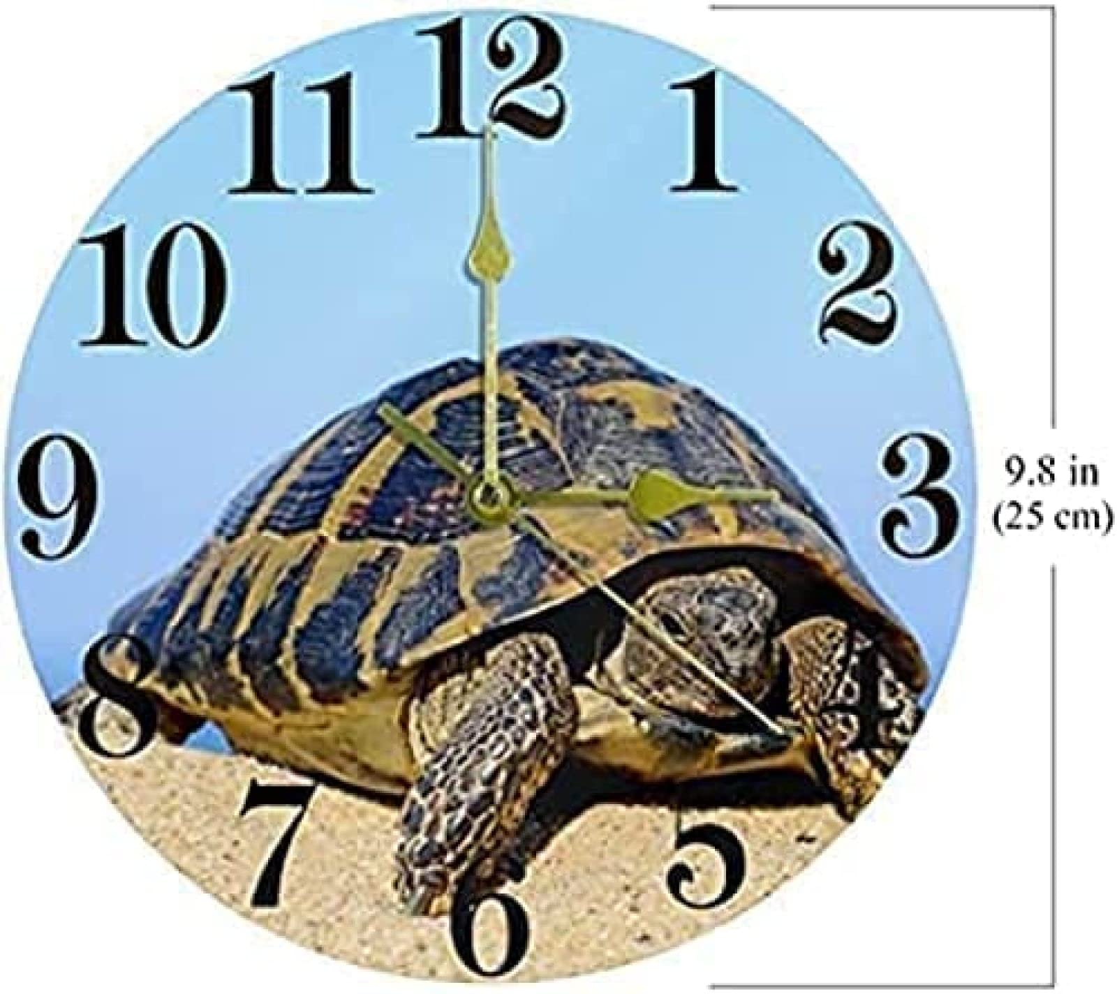 Amazon.co.jp: 亀の壁掛け時計、10インチの無声非カチカチ音をたてる