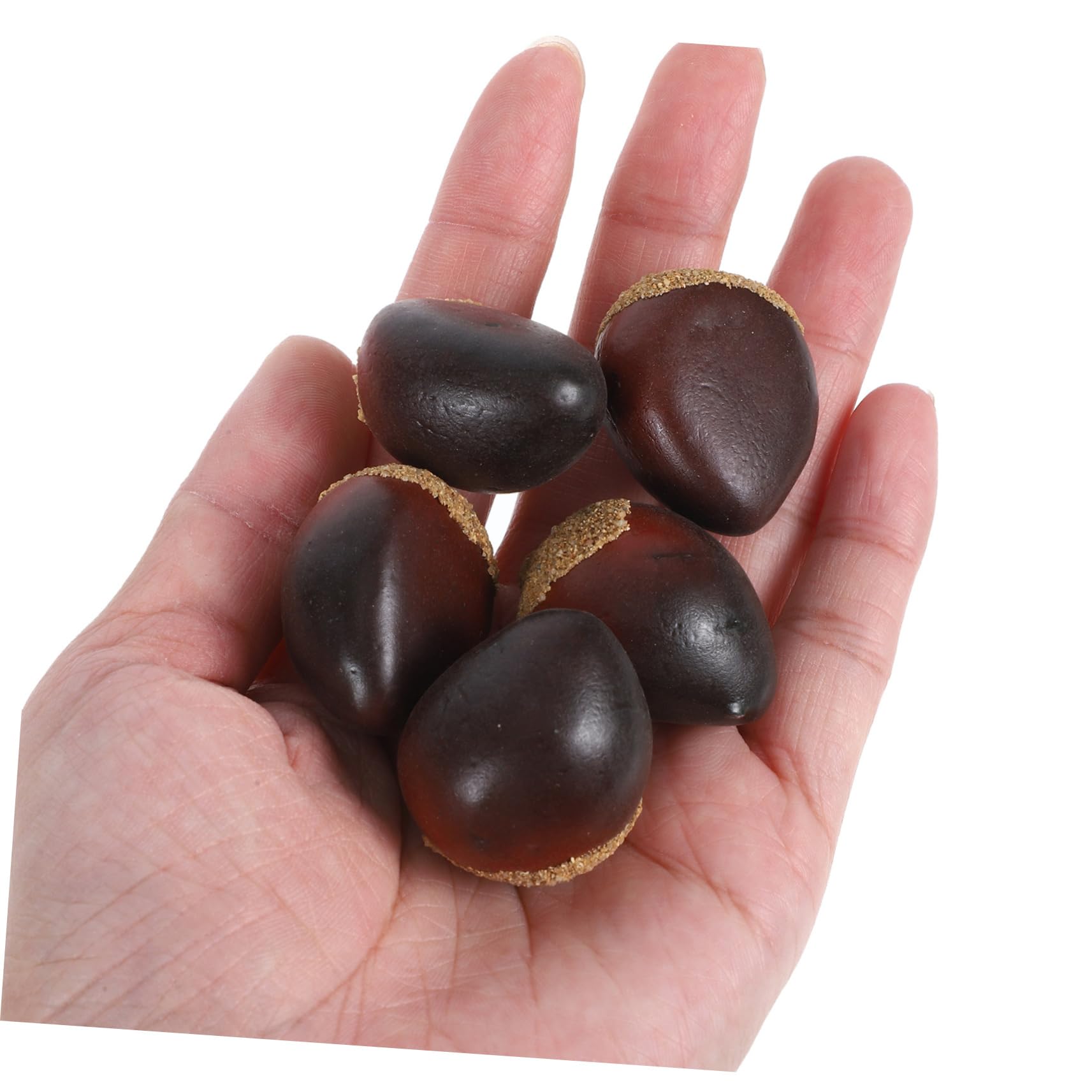 Alipis 5 Juegos Castaña De Espuma Apoyo De Frutas Falsas Castañas Falsas Modelo De Castaño Artificial Hielo Falso Real Nueces Artificiales para El Hogar Modelo De Comida Coffee 30 Uds * 5