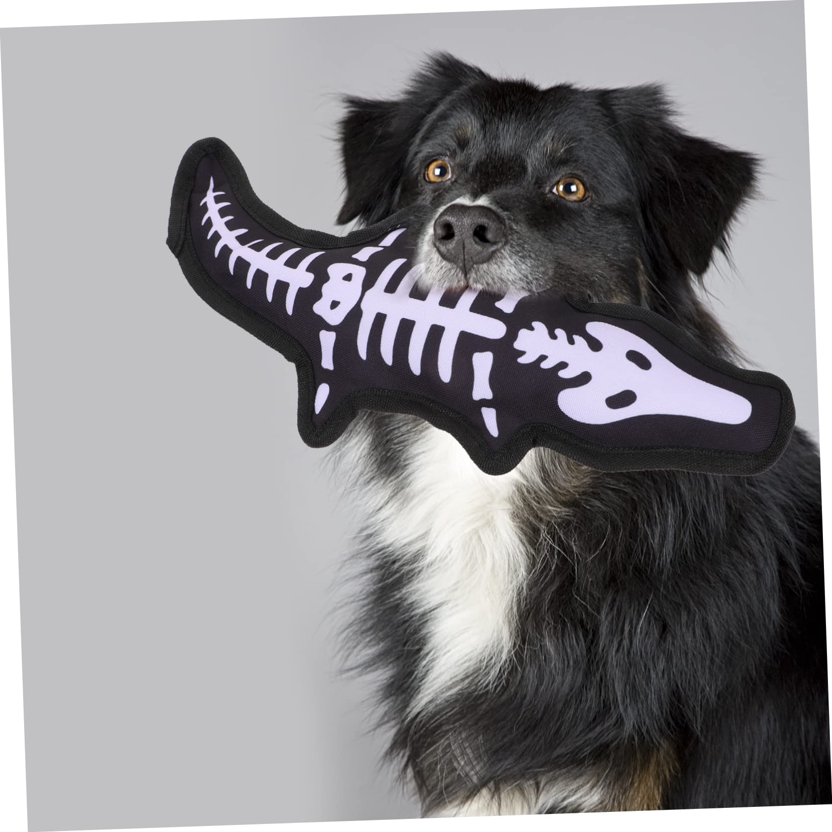BESPORTBLE Jouet À Mâcher pour Chien Jouet Couineur pour Animaux De Compagnie Matériel De Nettoyage des Dents Amusant pour Les Chiots