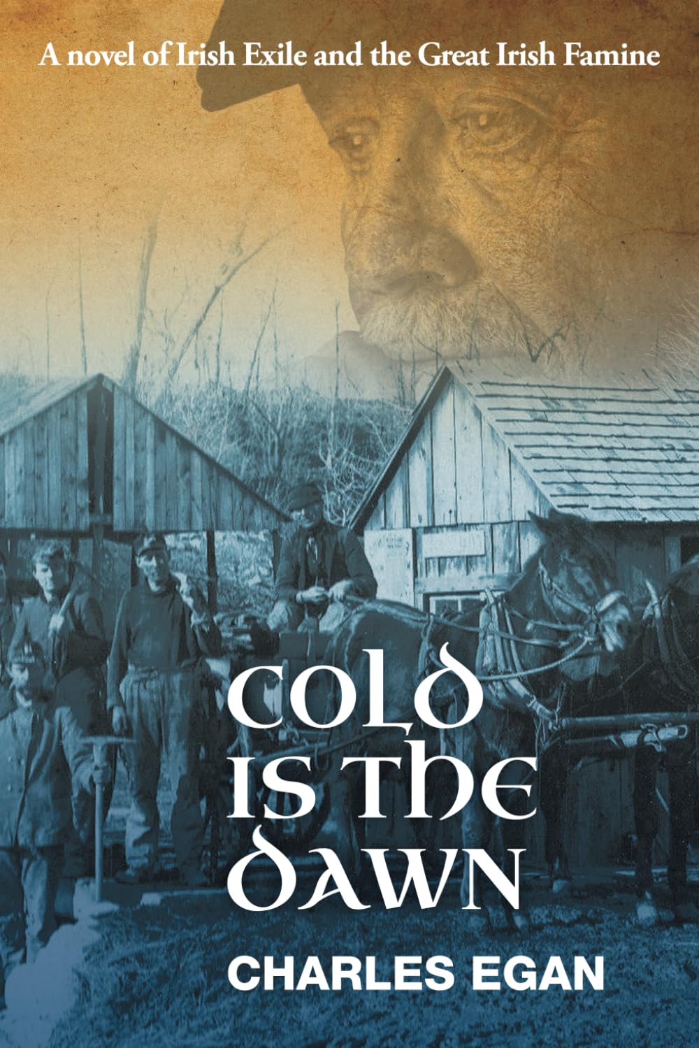 Cold is the Dawn: A Novel of Irish Exile and the Great Irish Famine (The Irish Famine Series Book 3 of 3)