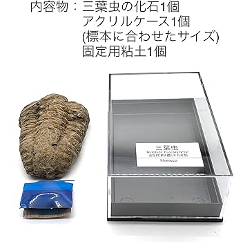 71lP0hpVXjL._AC_UF350,