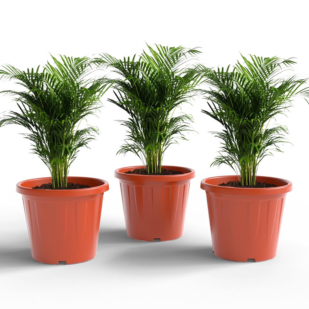YUCCABE ITALIA 6 Pack White Nursery Planters -27