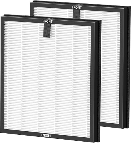 Paquete de 2 filtros de repuesto HY4866 para purificador de aire MORENTOWESTHEY HY4866 y purificador de aire YIOU M1, filtro H13 True HEPA 3 en 1,