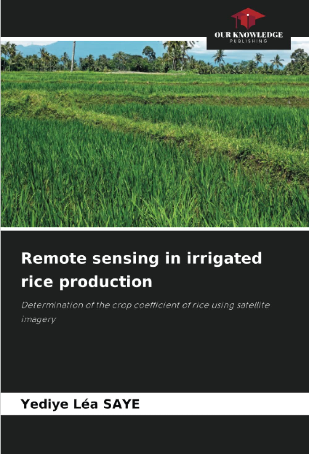 Remote sensing in irrigated rice production: Determination of the crop coefficient of rice using satellite imagery