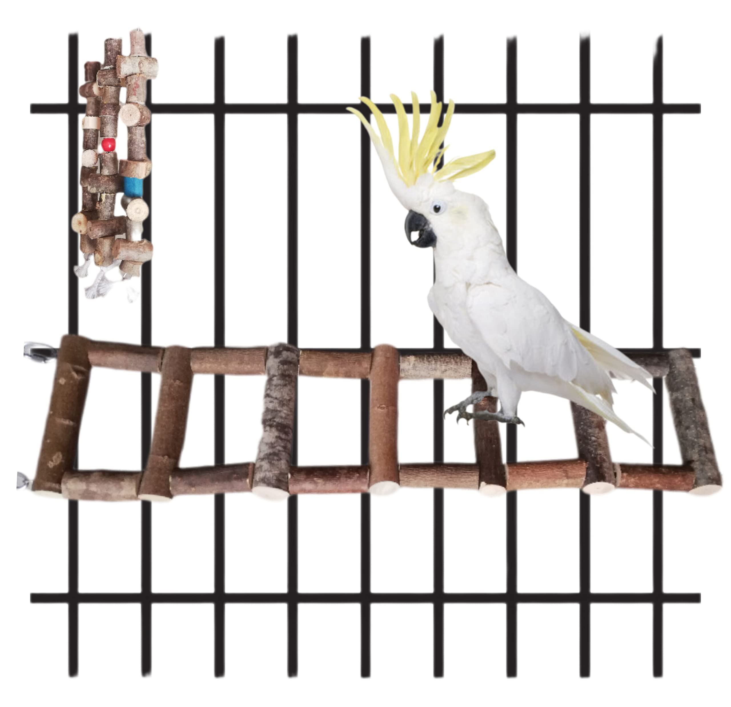Escaleras para jaulas y voladeras de loros, juguete puente aviario de pájaros, percha natural colgante de aves agaporni, ninfa, accesorio guacamayo, yaco, conures, CALIDAD PREMIUM. (voladeras, P/M)