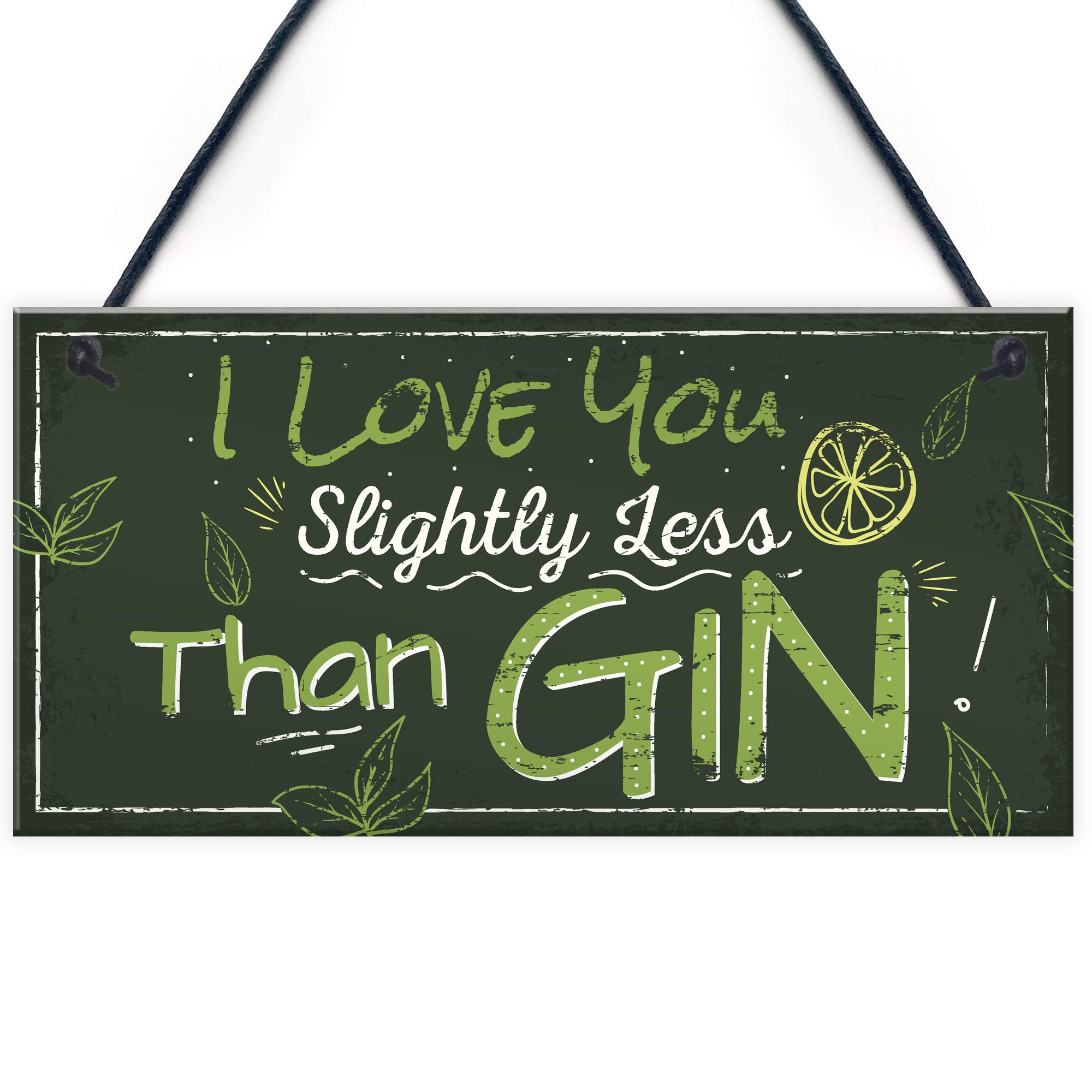 Red Ocean Novelty GIN Friendship Hanging Plaque Alcohol Gin & Tonic Birthday Sign Home Bar Thank You Gift