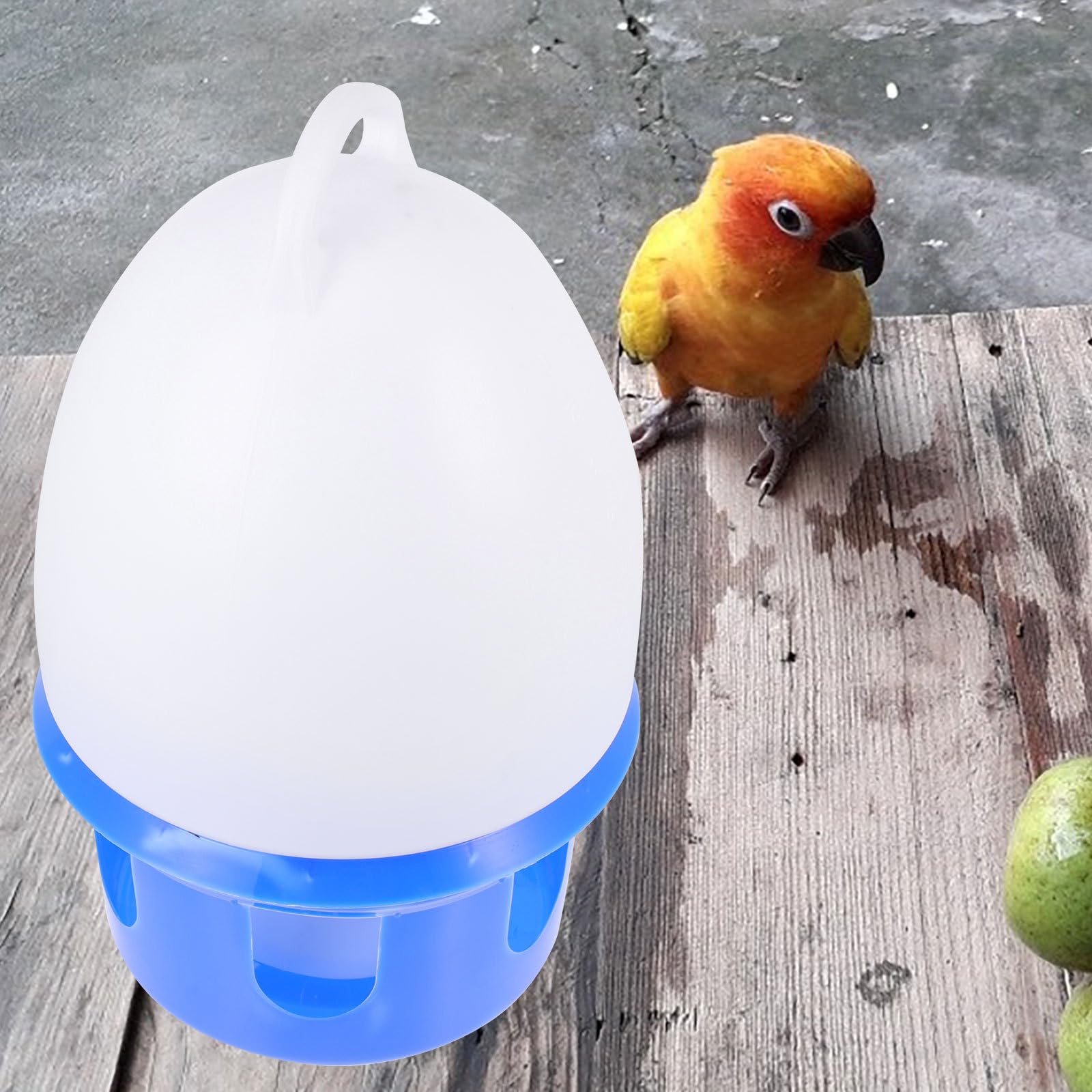 Artibetter Abreuvoir Suspendu pour Pigeons 10l avec Poignée Bleu et Blanc, Distributeur d'eau en Plastique, Mangeoire Pratique pour Oiseaux de Compagnie, Usage Intérieur et Extérieur