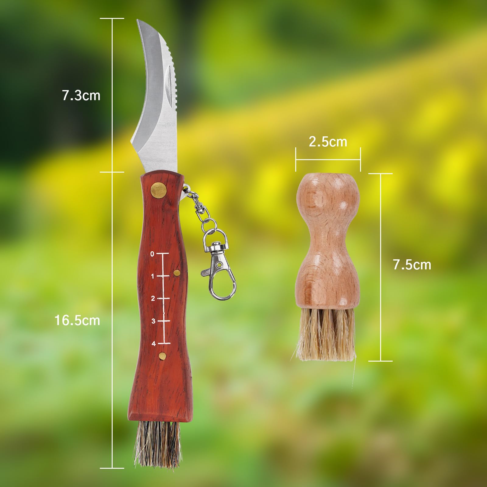 GVDV Coltello per Funghi, con Spazzola, Borsa da Caccia, Bussola e 2*Guanti, Coltello Micologica Manico in Legno, Spazzola in Setola di Cinghiale