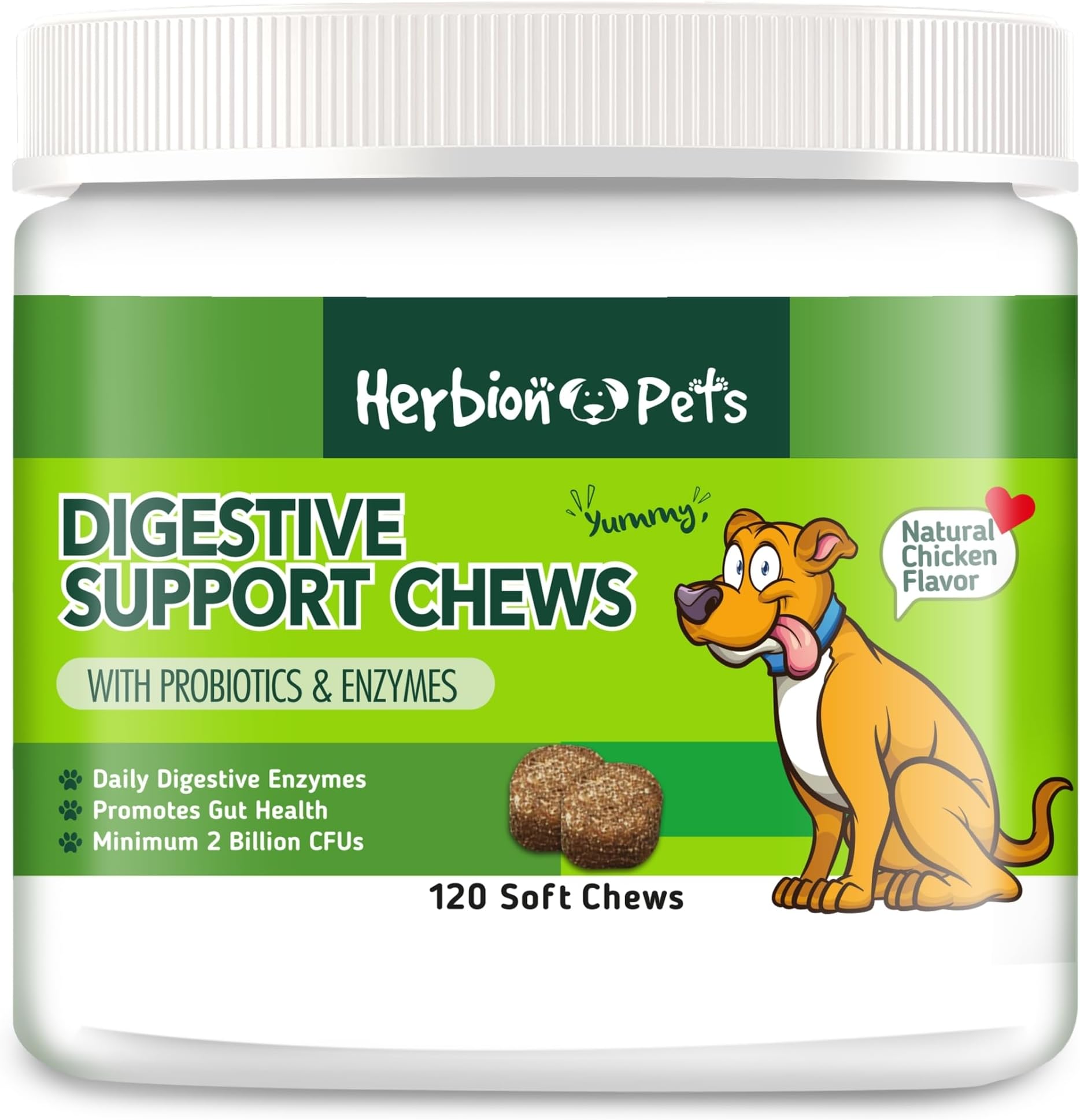 Herbion Naturals Pets Digestive Support Chews with Probiotics & Enzymes, 120 Soft Chews with Daily Digestive Enzymes for Improved Gut Health Minimum 2 Billion CFUs for Dogs 12 Weeks +