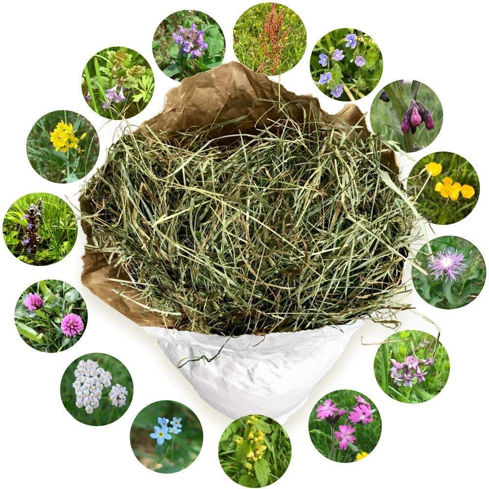 NATURHEU 1. Schnitt. Heu als Kleintier-Futter für Kaninchen Hasen Hamster Nager & Kleintiere aus größter Heumilch-Region Europas in Österreich~ 1 kg lose im ÖKO-Papiersack