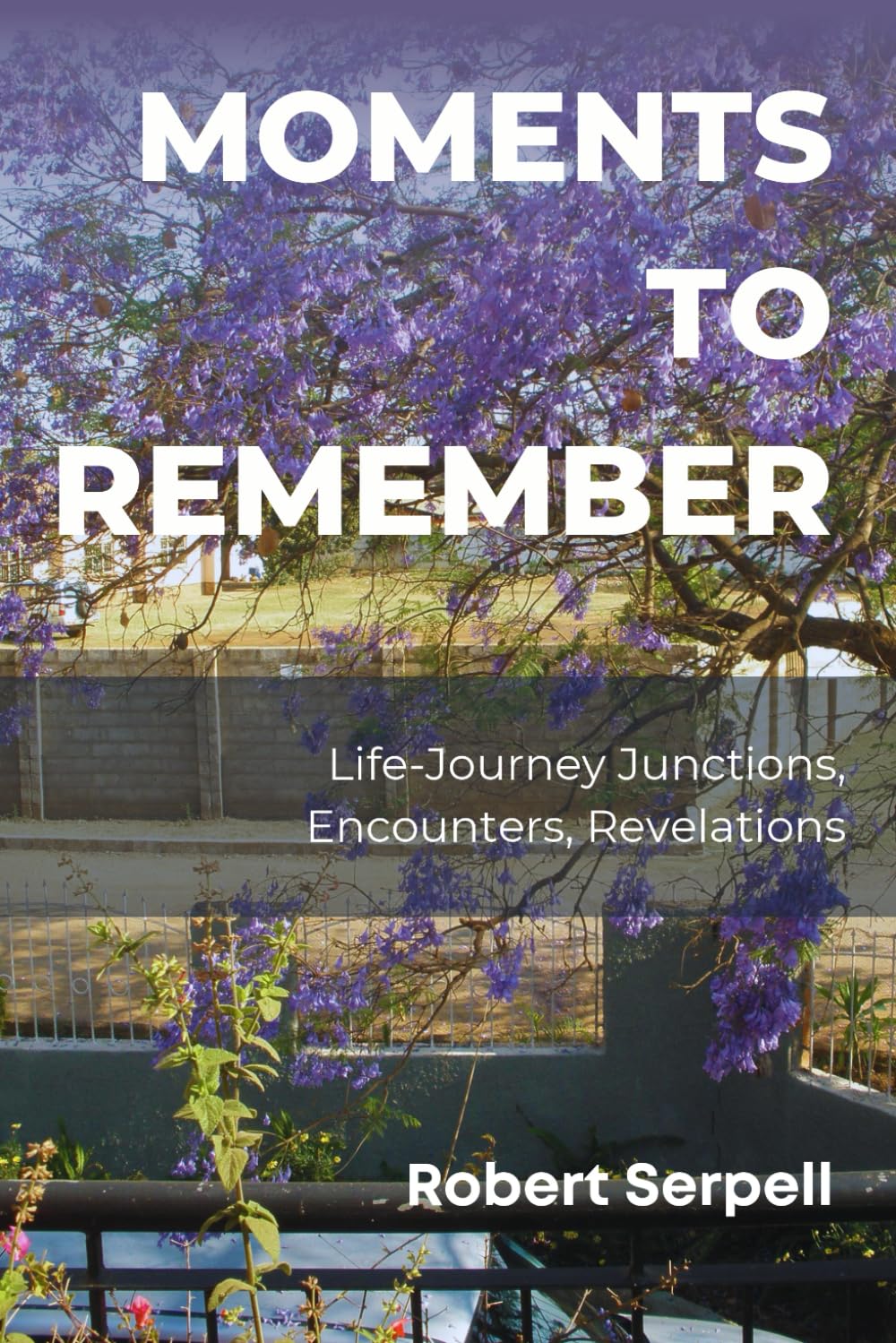 Moments to Remember: Life-Journey Junctions, Encounters, Revelations