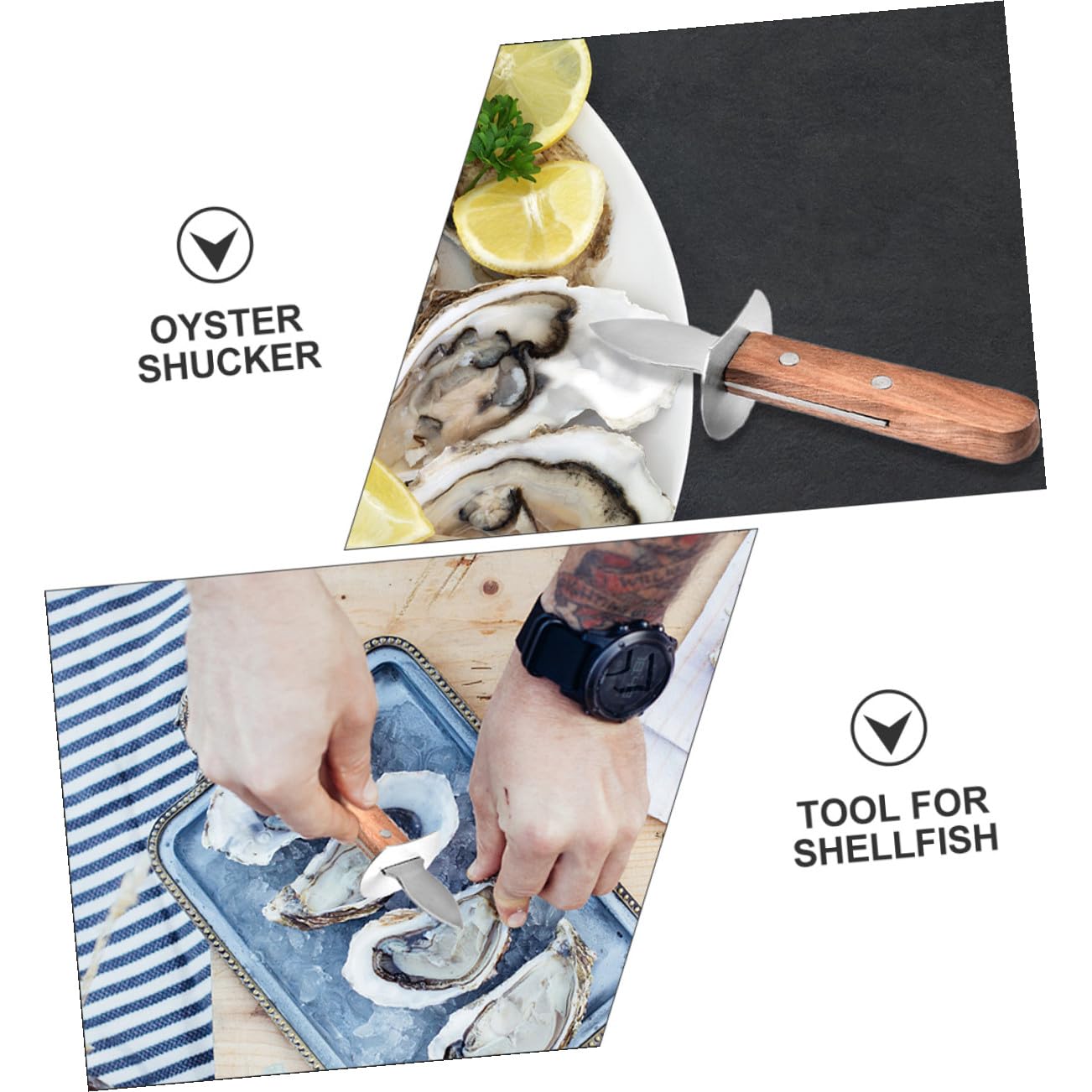 SOLUSTRE 3piezas Abrelatas De Ostras De Acero Inoxidable Mango De Antideslizante Herramienta Práctica Para Abrir Mariscos Casa o Picnic